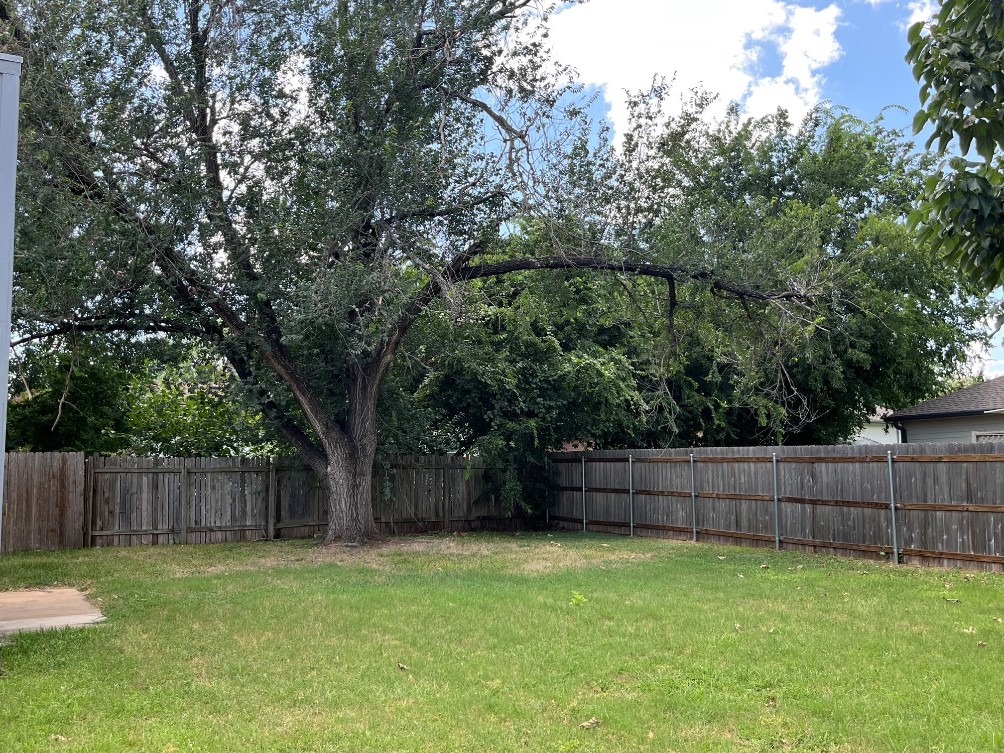 1013 Forest TRL, Cedar Park, TX 78613
