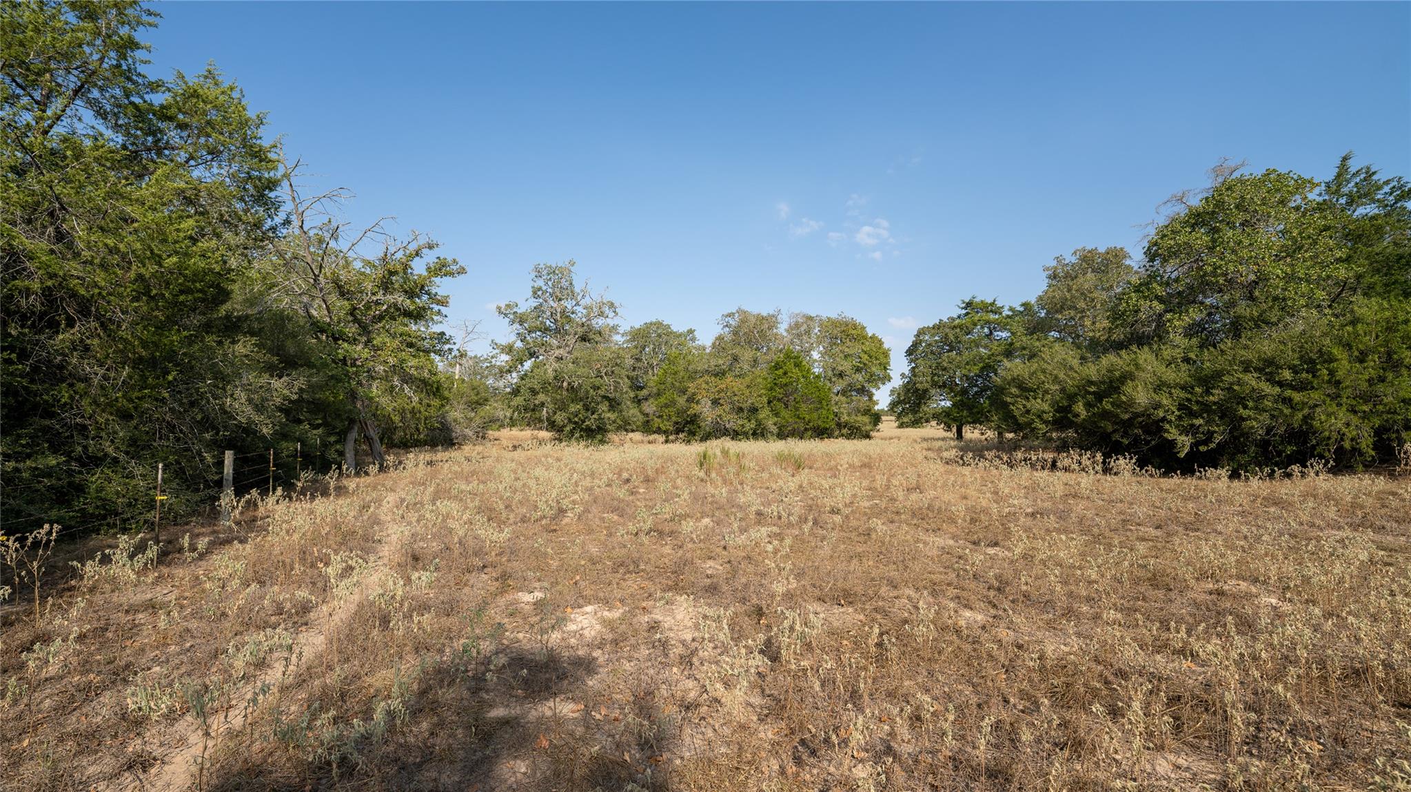 TBD TRACT 5 Cedar Rock RD, Rosanky, TX 78953
