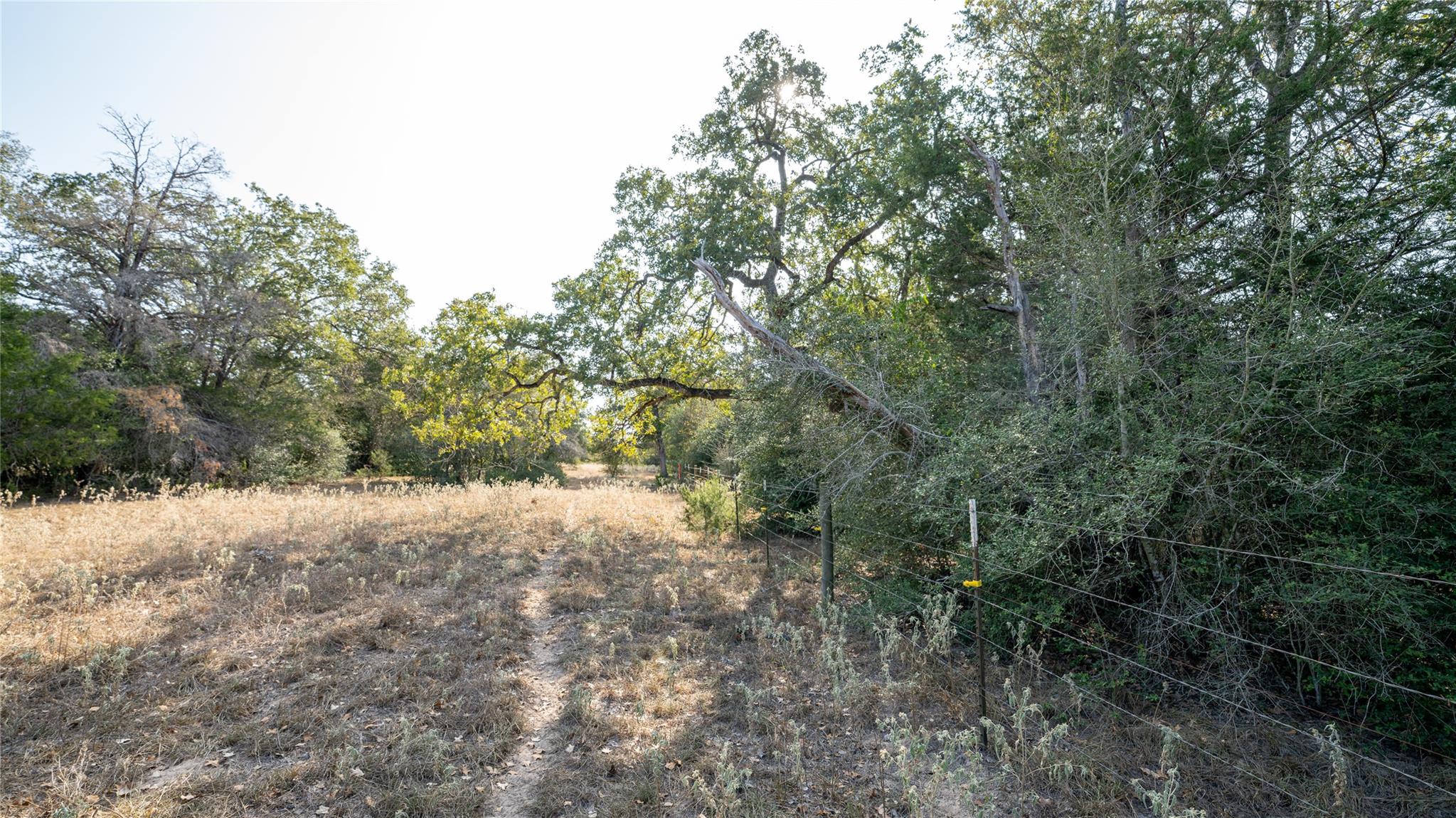 TBD TRACT 5 Cedar Rock RD, Rosanky, TX 78953