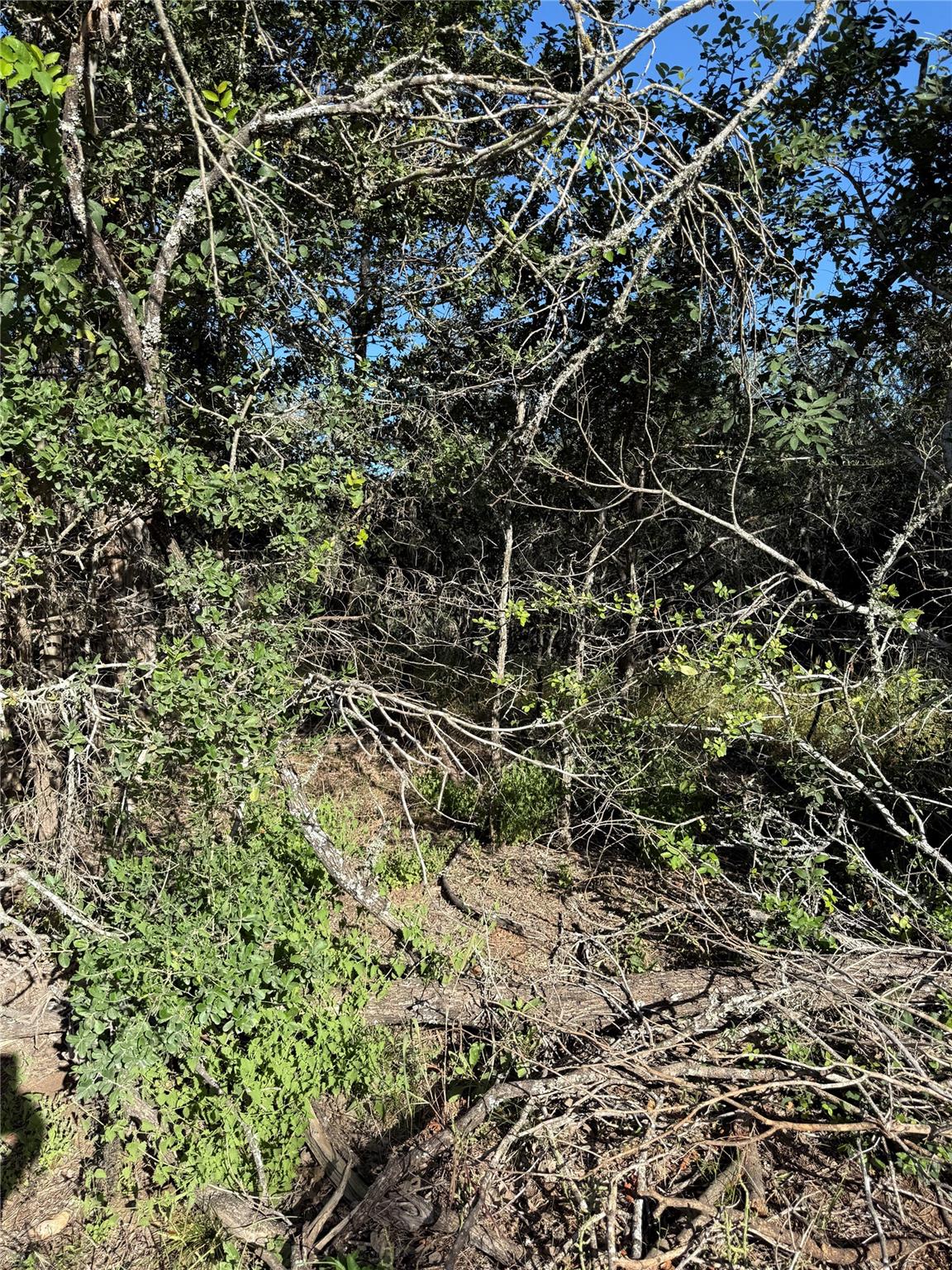 152 Helemano DR, Bastrop, TX 78602
