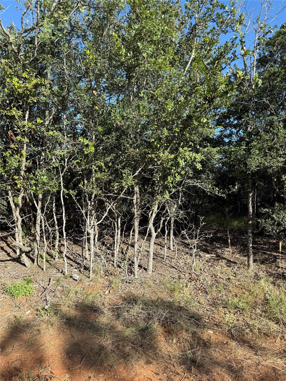 152 Helemano DR, Bastrop, TX 78602