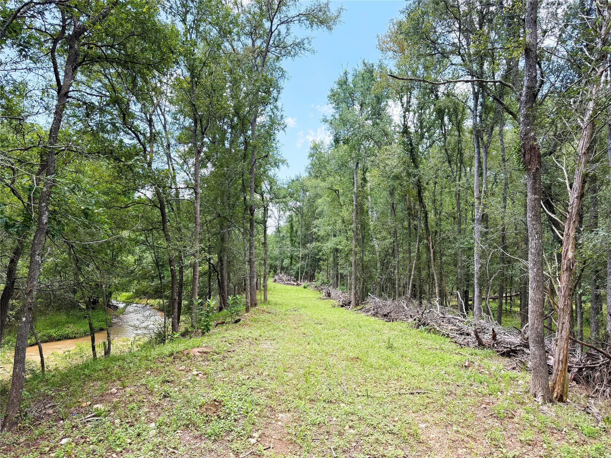 0000 Fm 2239, Paige, TX 78659