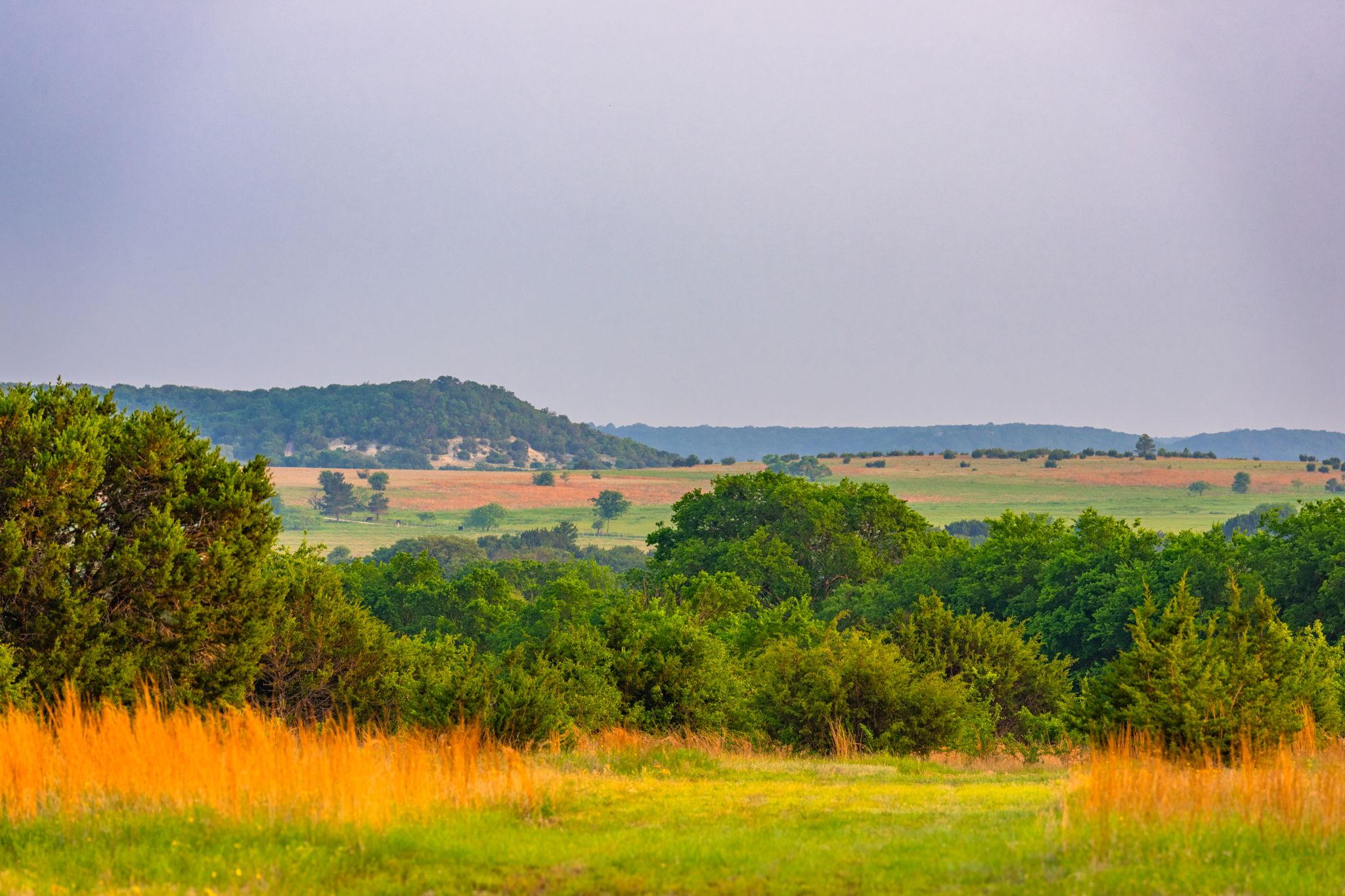 2170 County Road 228, Hico, TX 76457