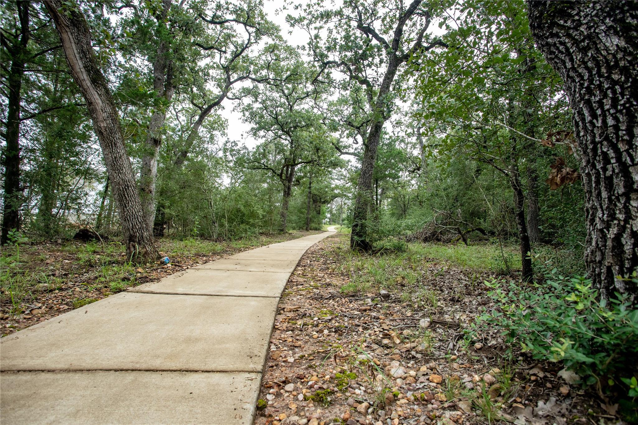 141 Coleto TRL, Bastrop, TX 78602
