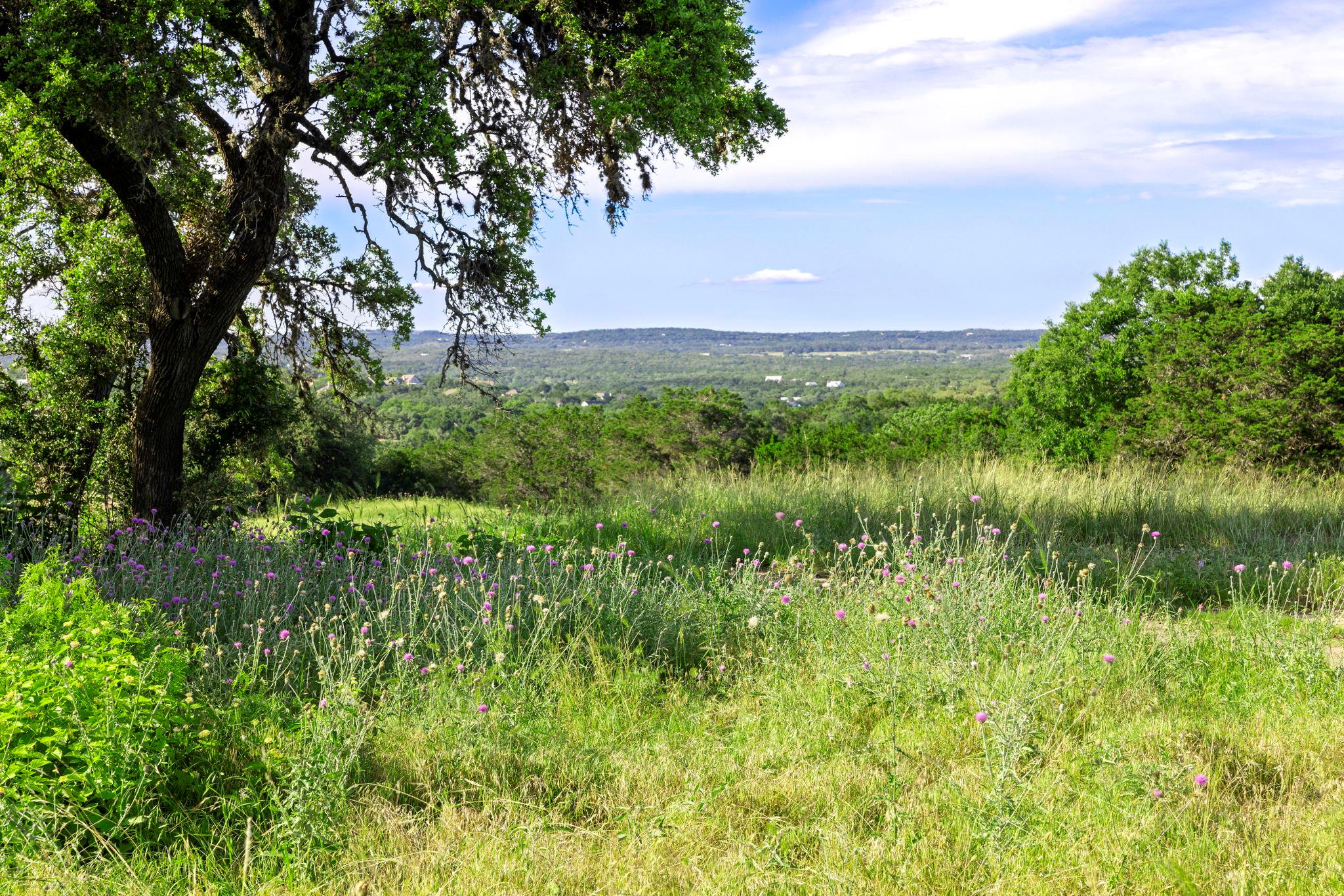 3 Shilo CIR, Wimberley, TX 78676