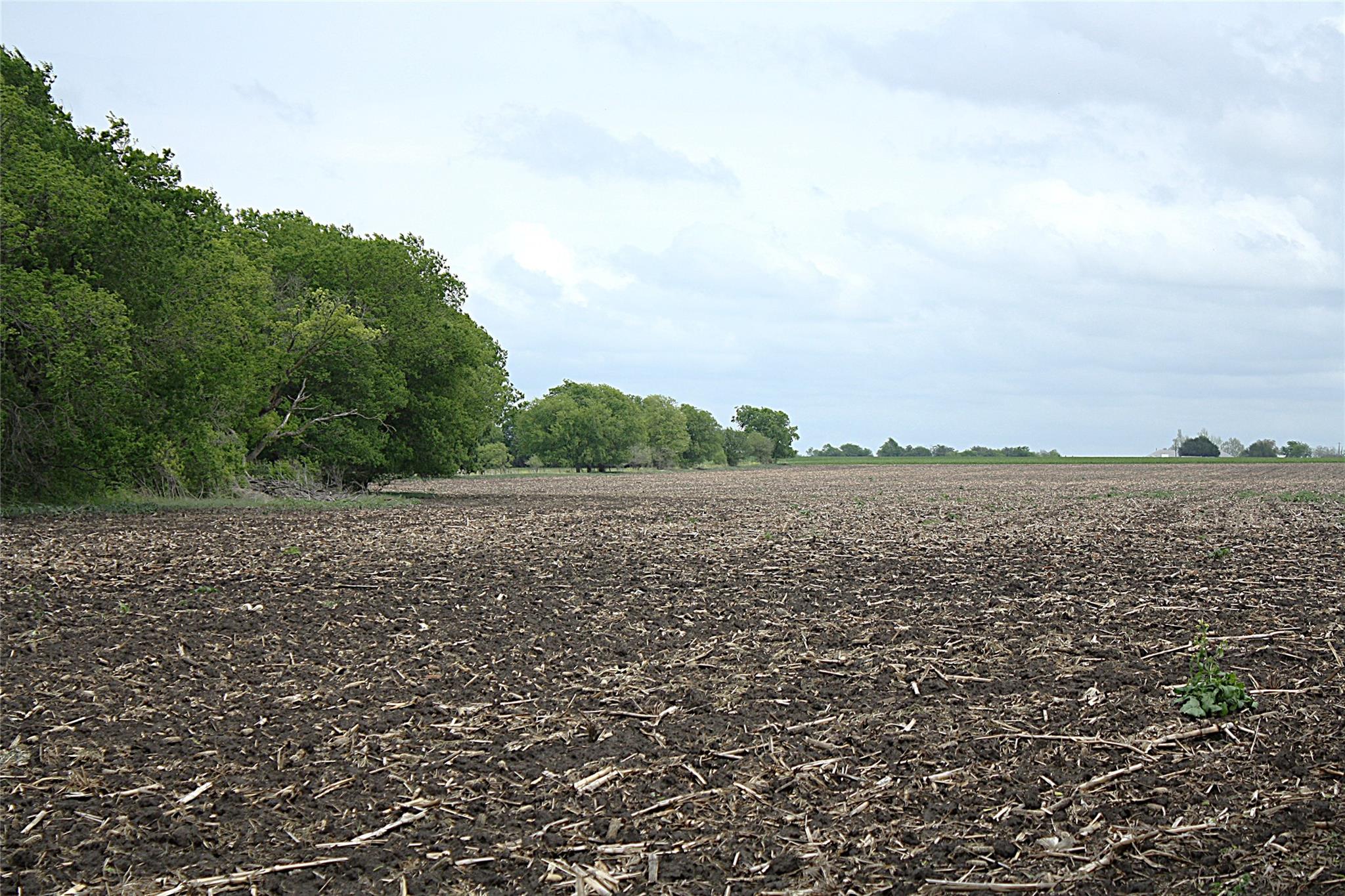 19374 Pennington Branch RD, Holland, TX 76534