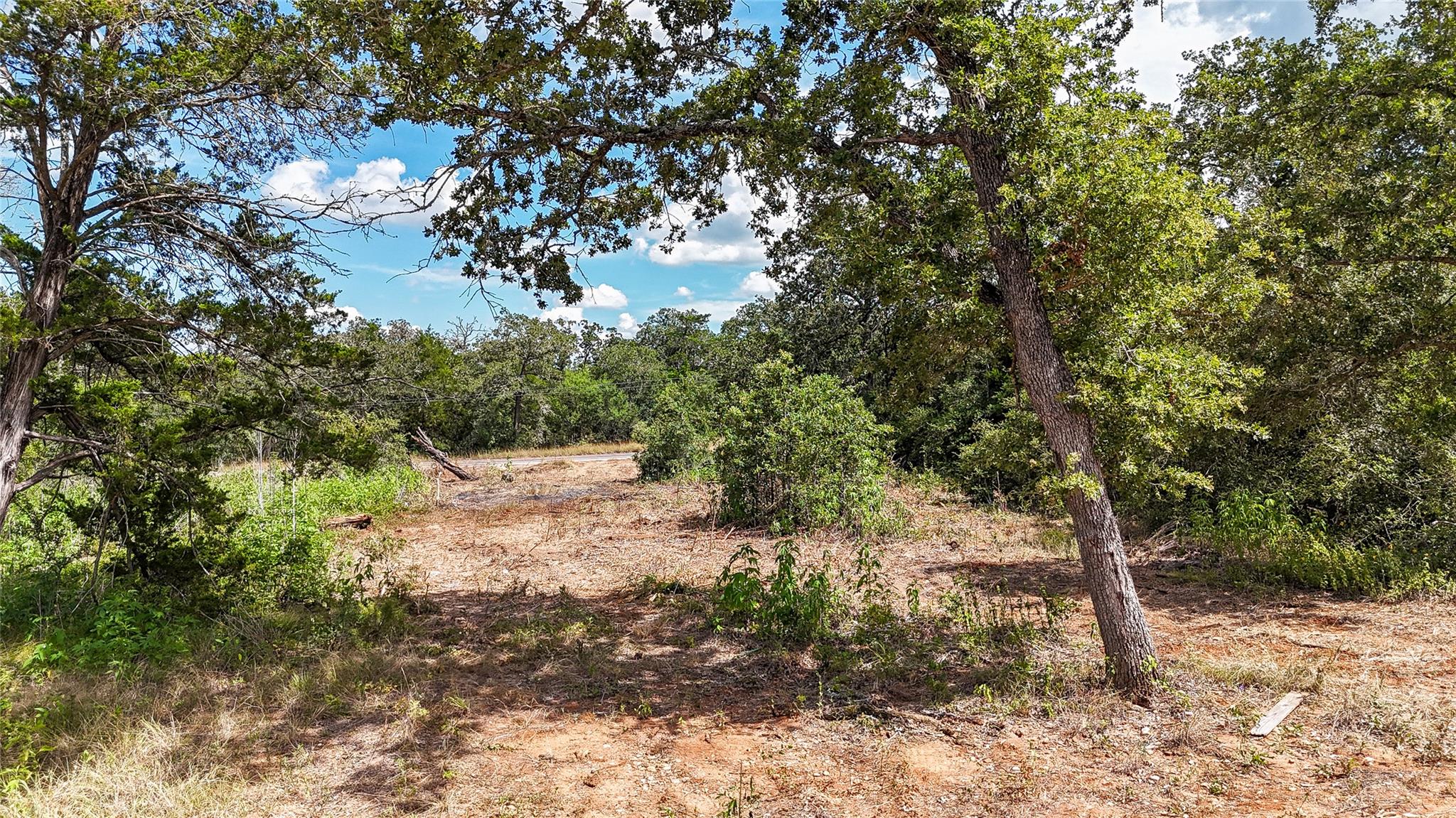 115 Eaglenest CT, Smithville, TX 78957