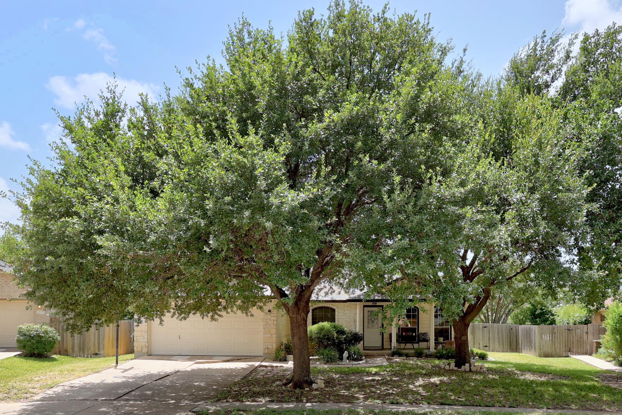 2556 Vernell Way, Round Rock, TX 78664
