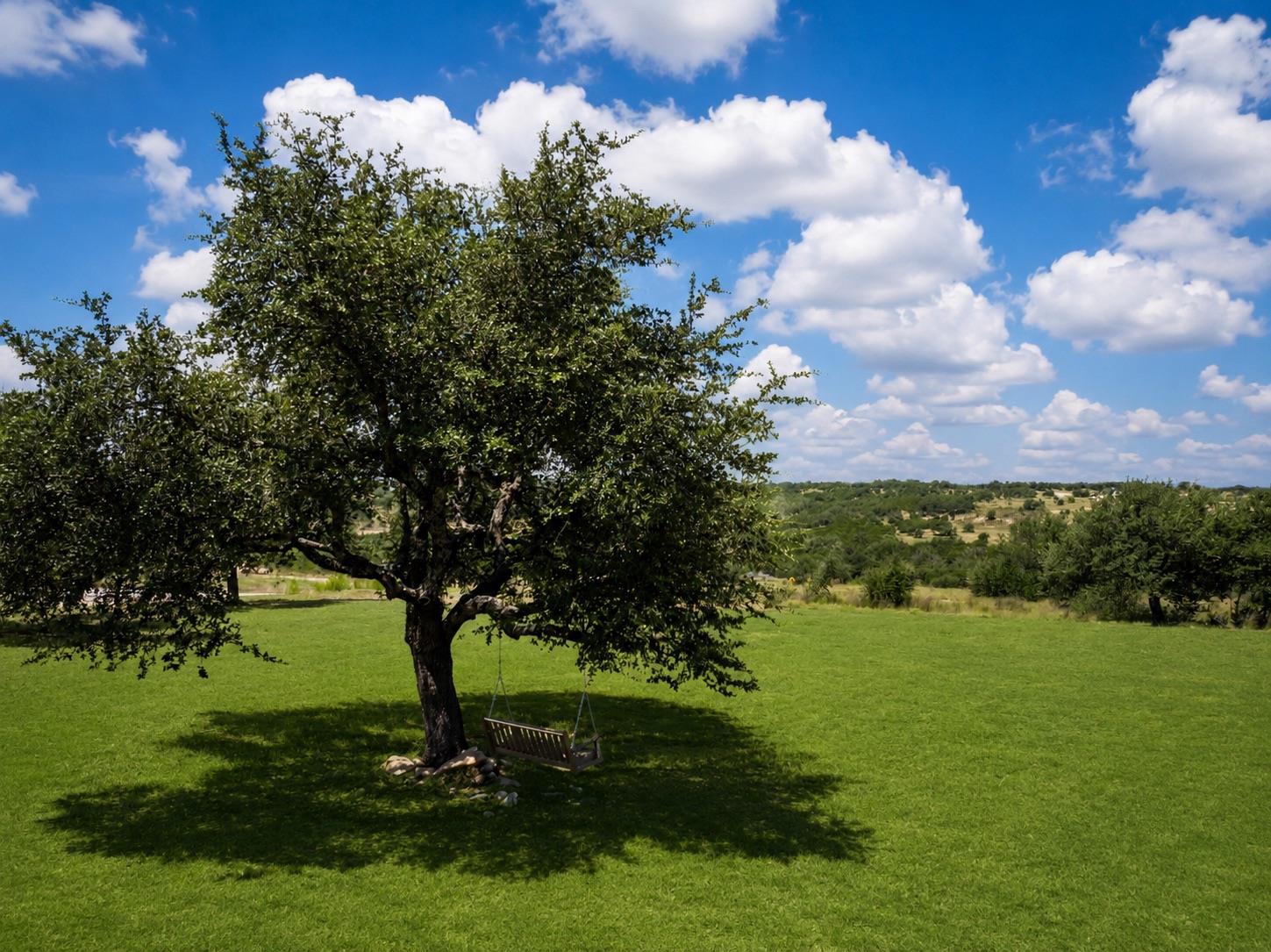 1516 E Flying Owl DR, Johnson City, TX 78636