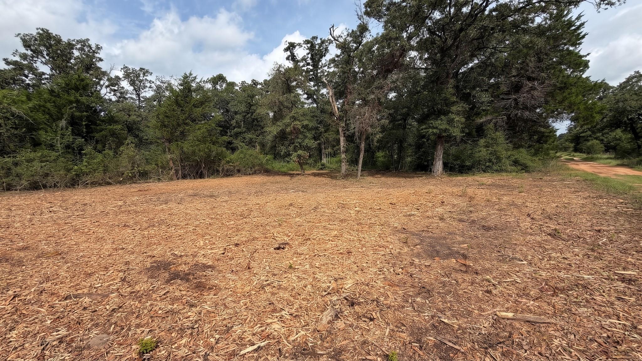 TBD Pr 3428 #2.528 Acres in Lin Luce Ranches #2, Milano, TX 76556