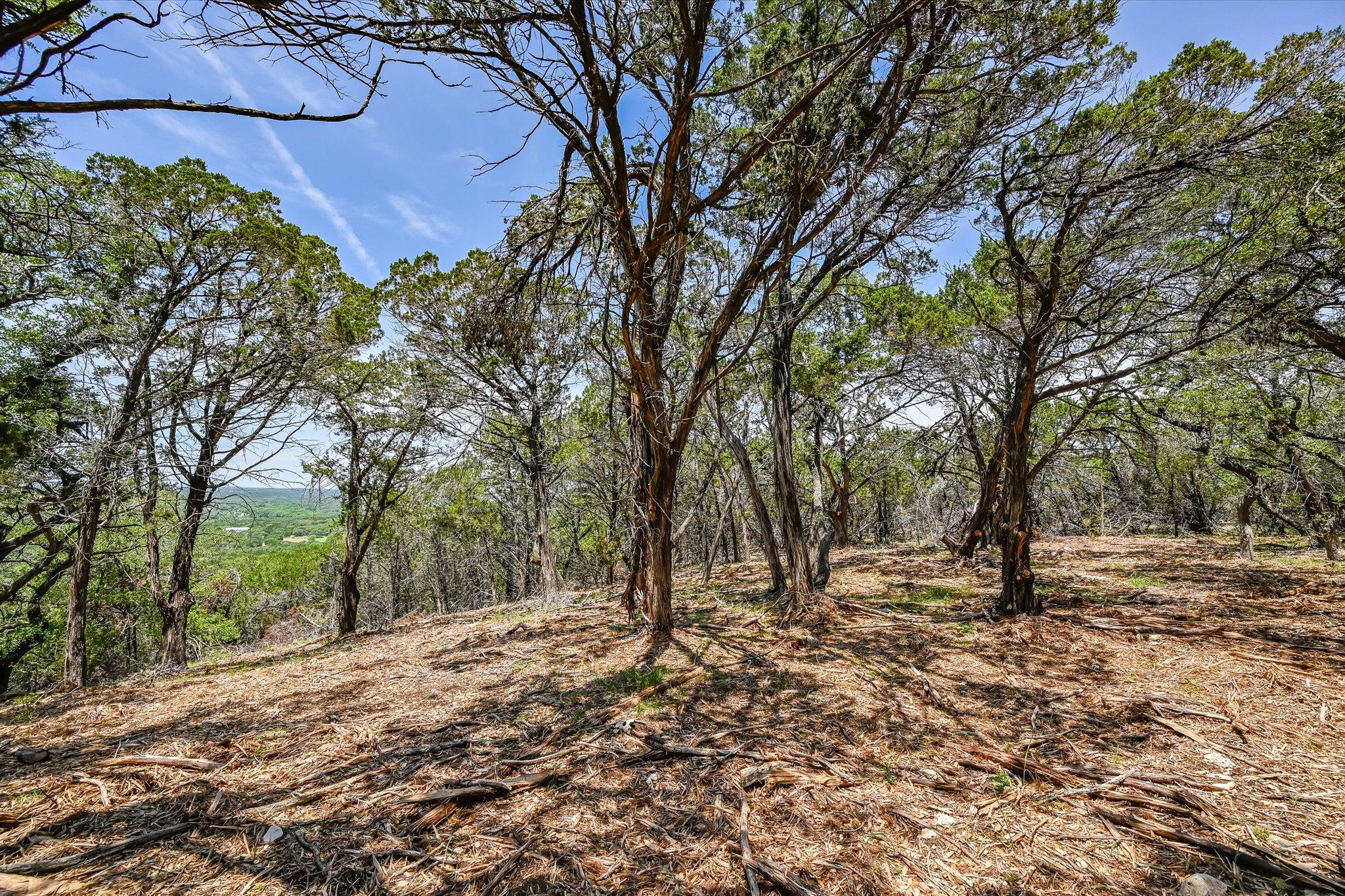 Tract 4 Buttercup LN, Wimberley, TX 78676