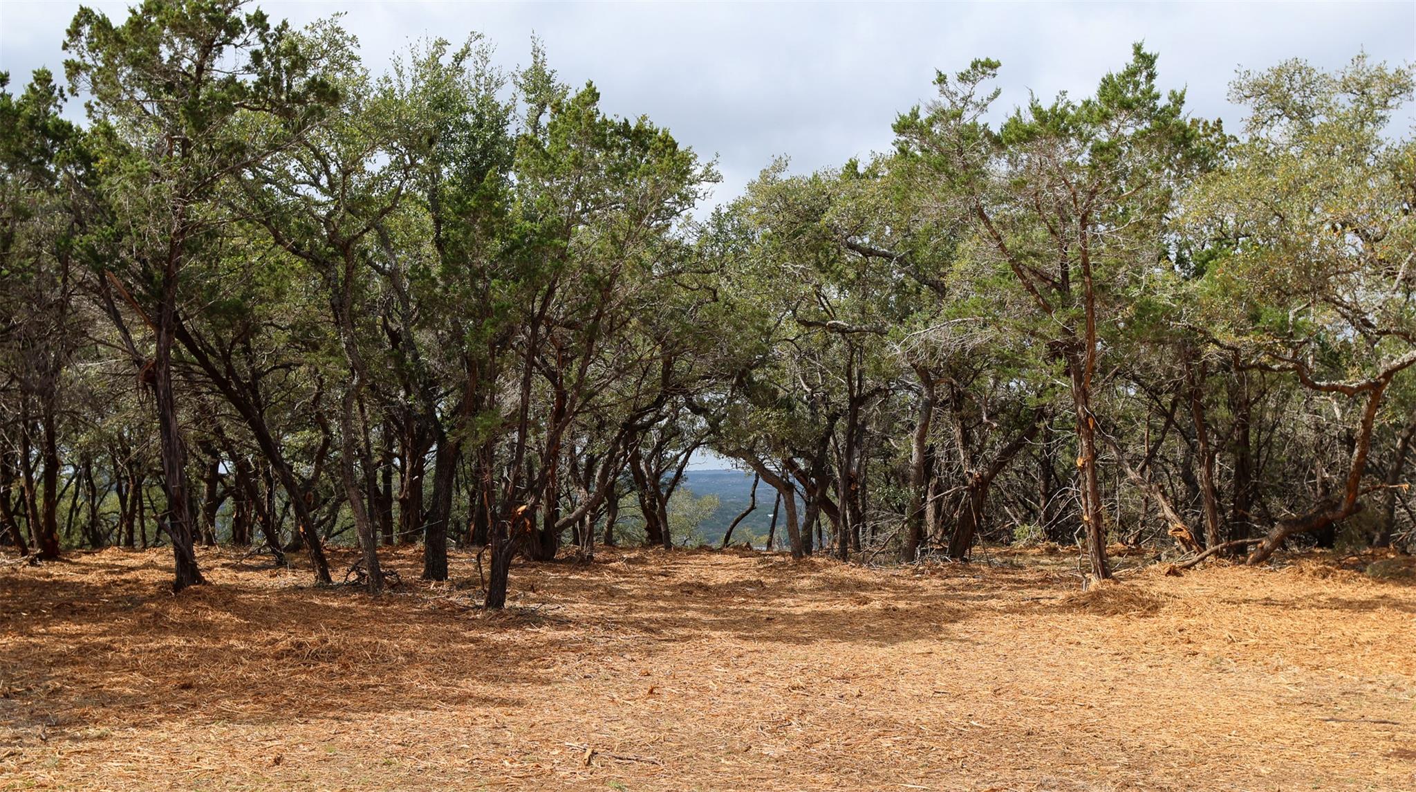 Tract 4 Buttercup LN, Wimberley, TX 78676