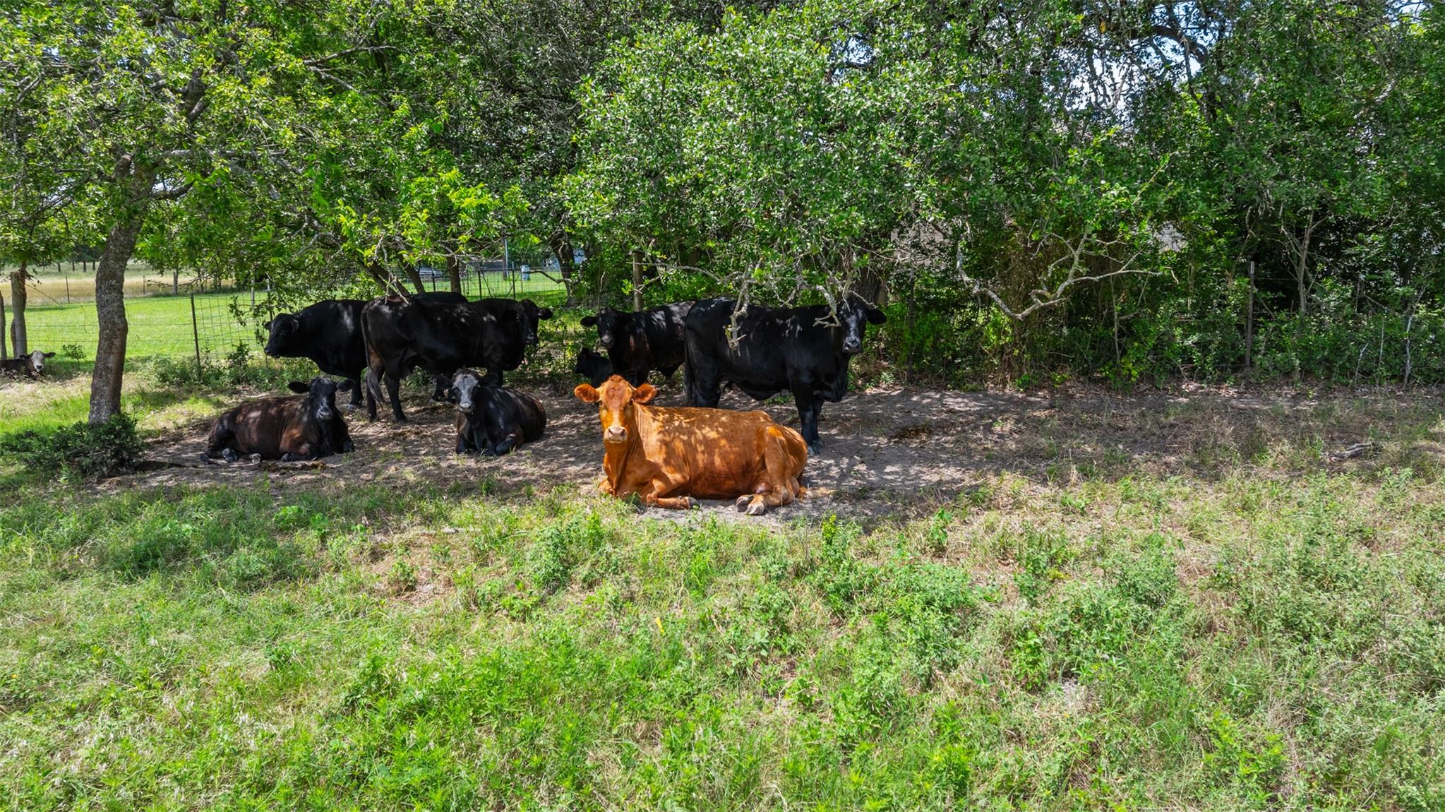 100 Rundberg DR, Jarrell, TX 76537