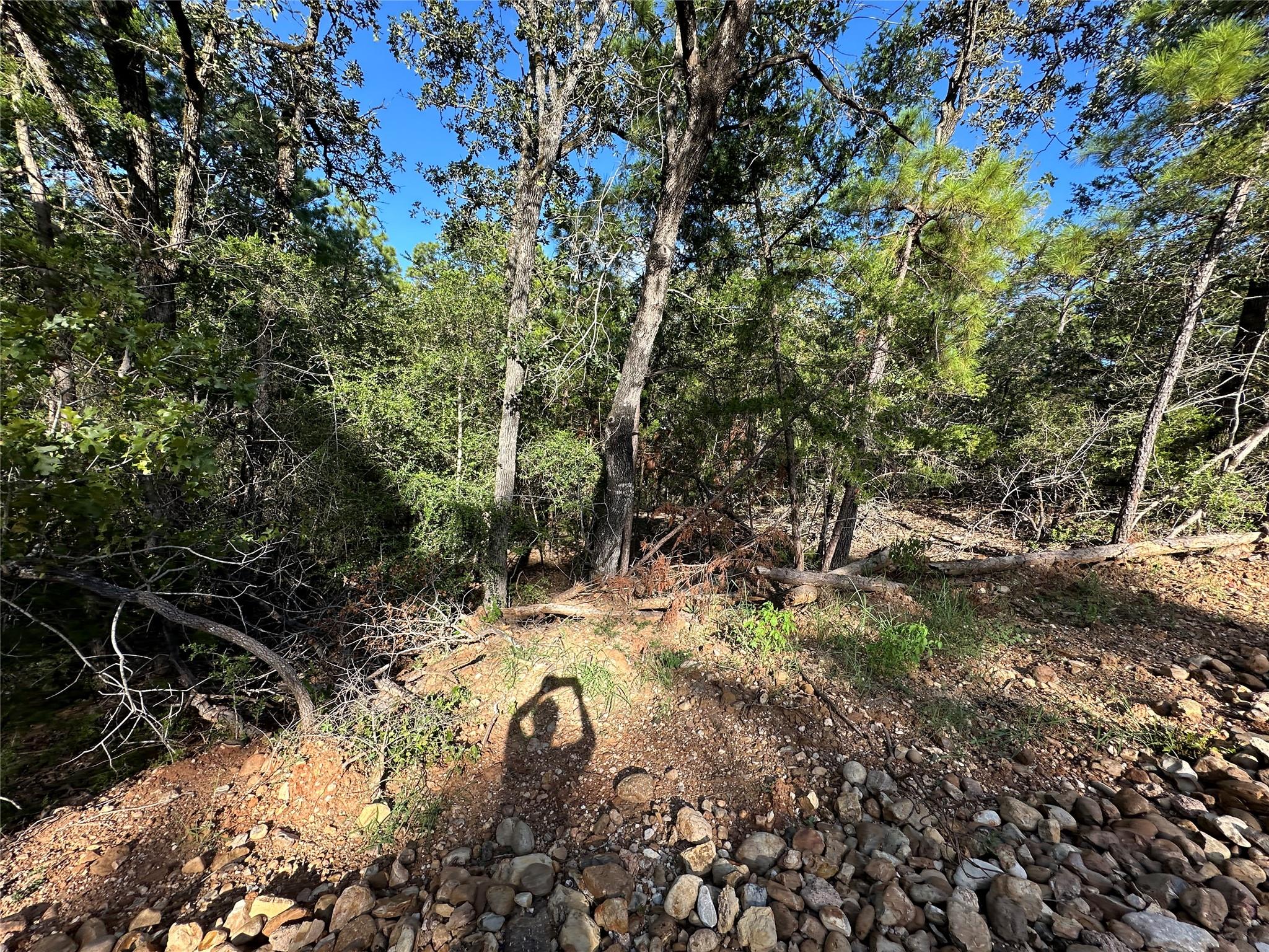 169 Molokini DR, Bastrop, TX 78602