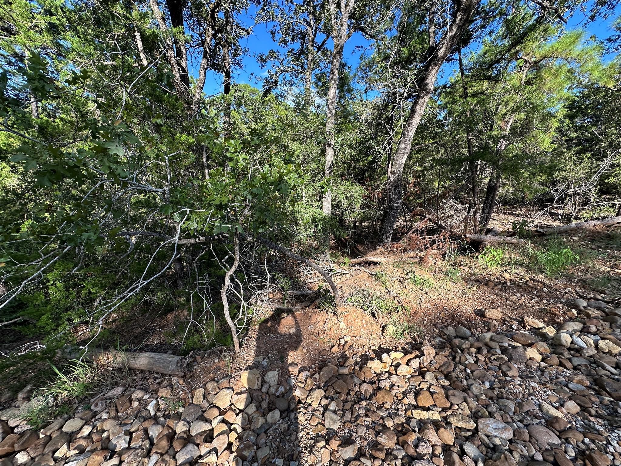 169 Molokini DR, Bastrop, TX 78602