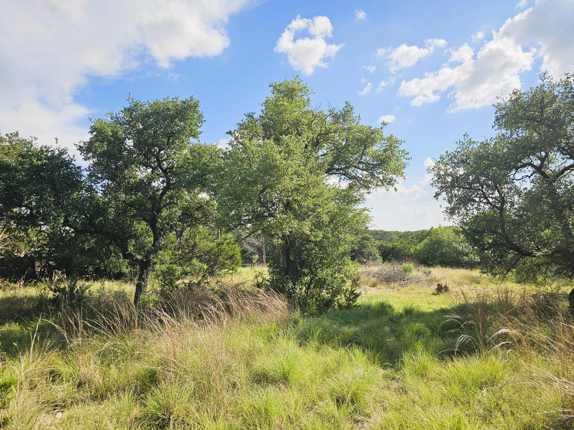 100 Reavis DR, Kempner, TX 76539