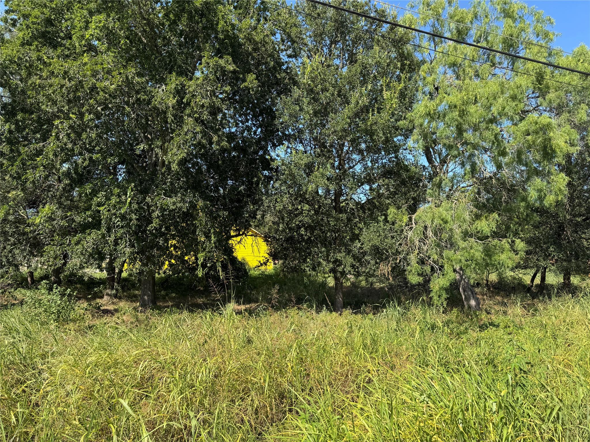 000 Waimalu CT, Bastrop, TX 78602