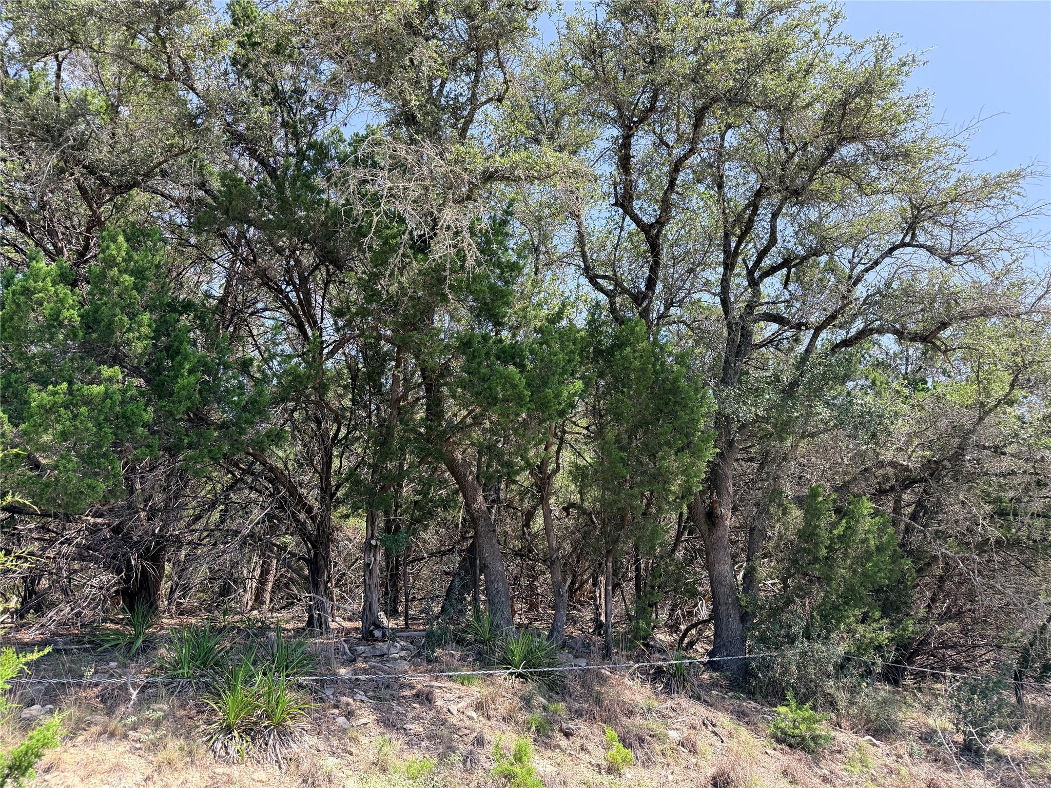 250 Oak Knob, Wimberley, TX 78676