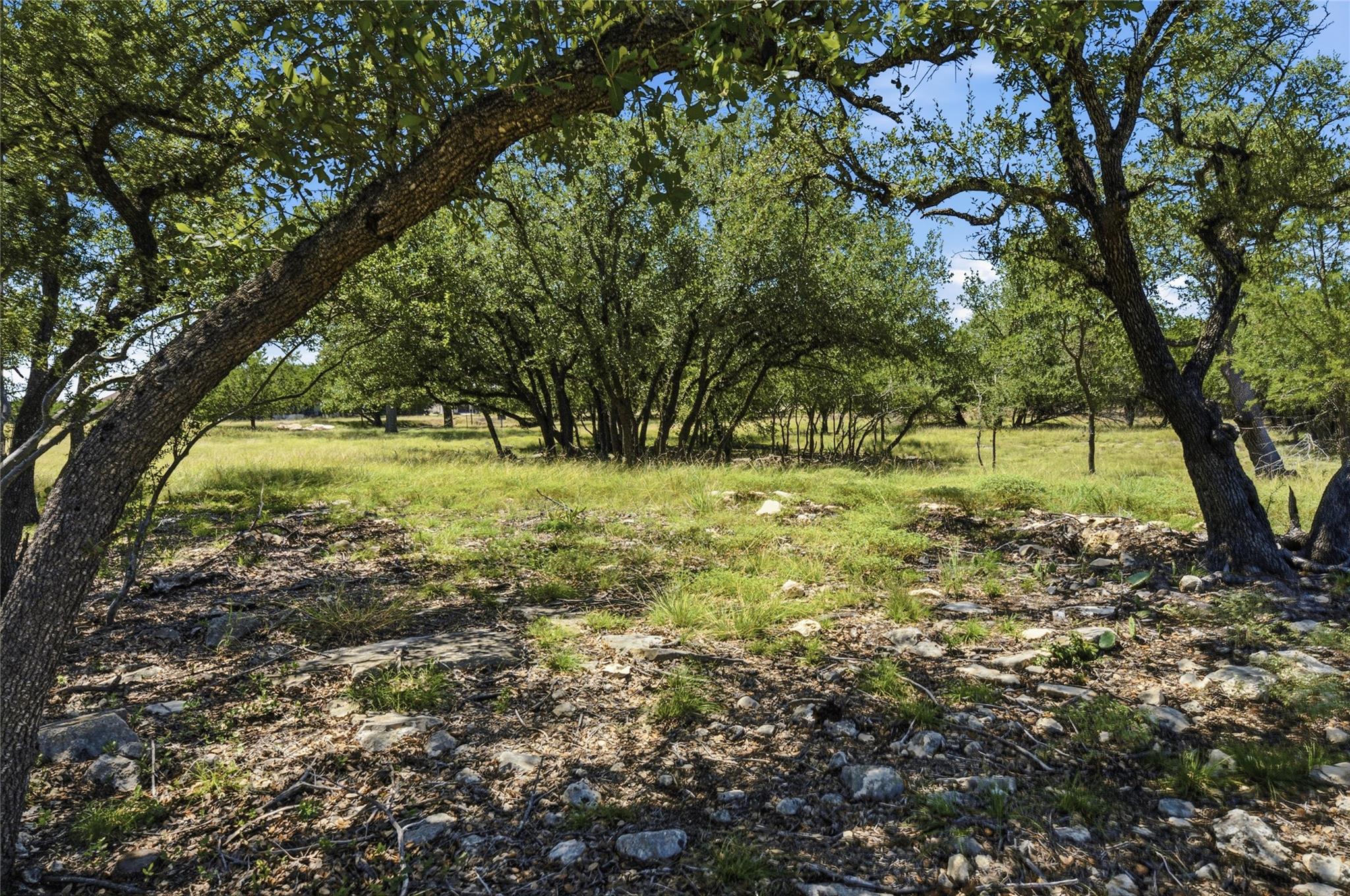 365 Joya DR, Liberty Hill, TX 78642