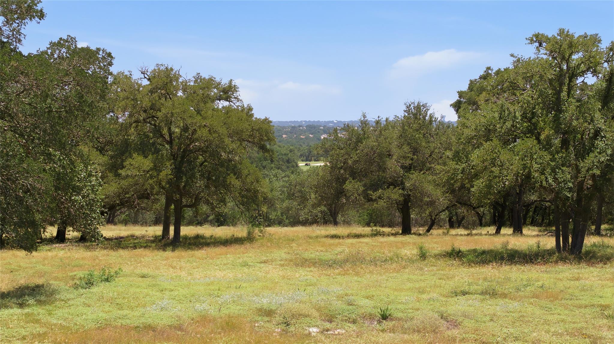 201 Lightning Ranch RD, Georgetown, TX 78628