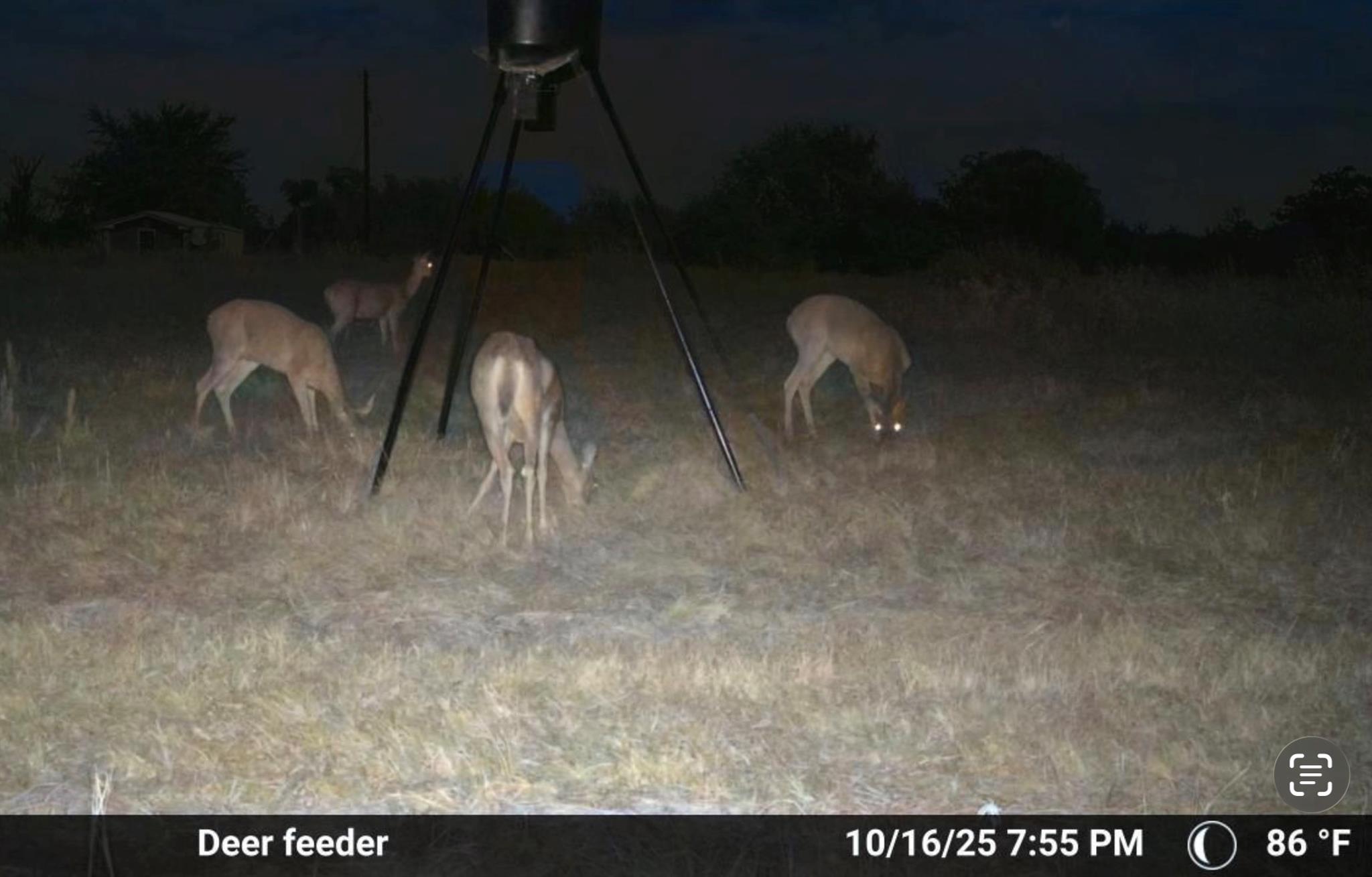 1155 Fm 1600, Cameron, TX 76520