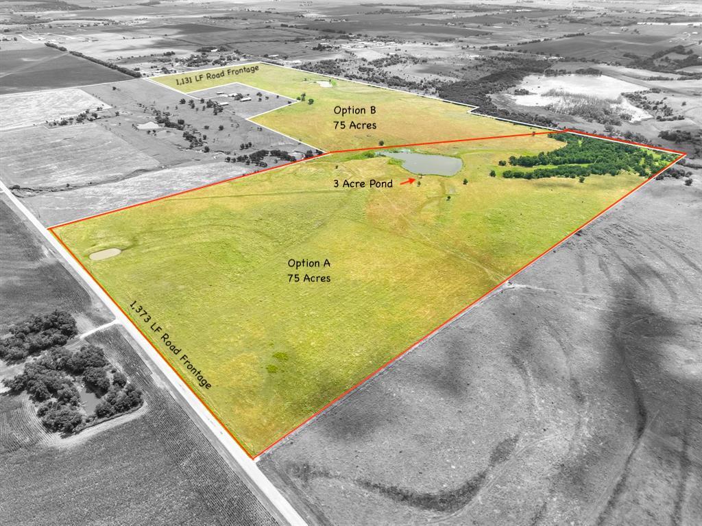 Tract 1 - 75 Acres County Road 419, Taylor, TX 76574