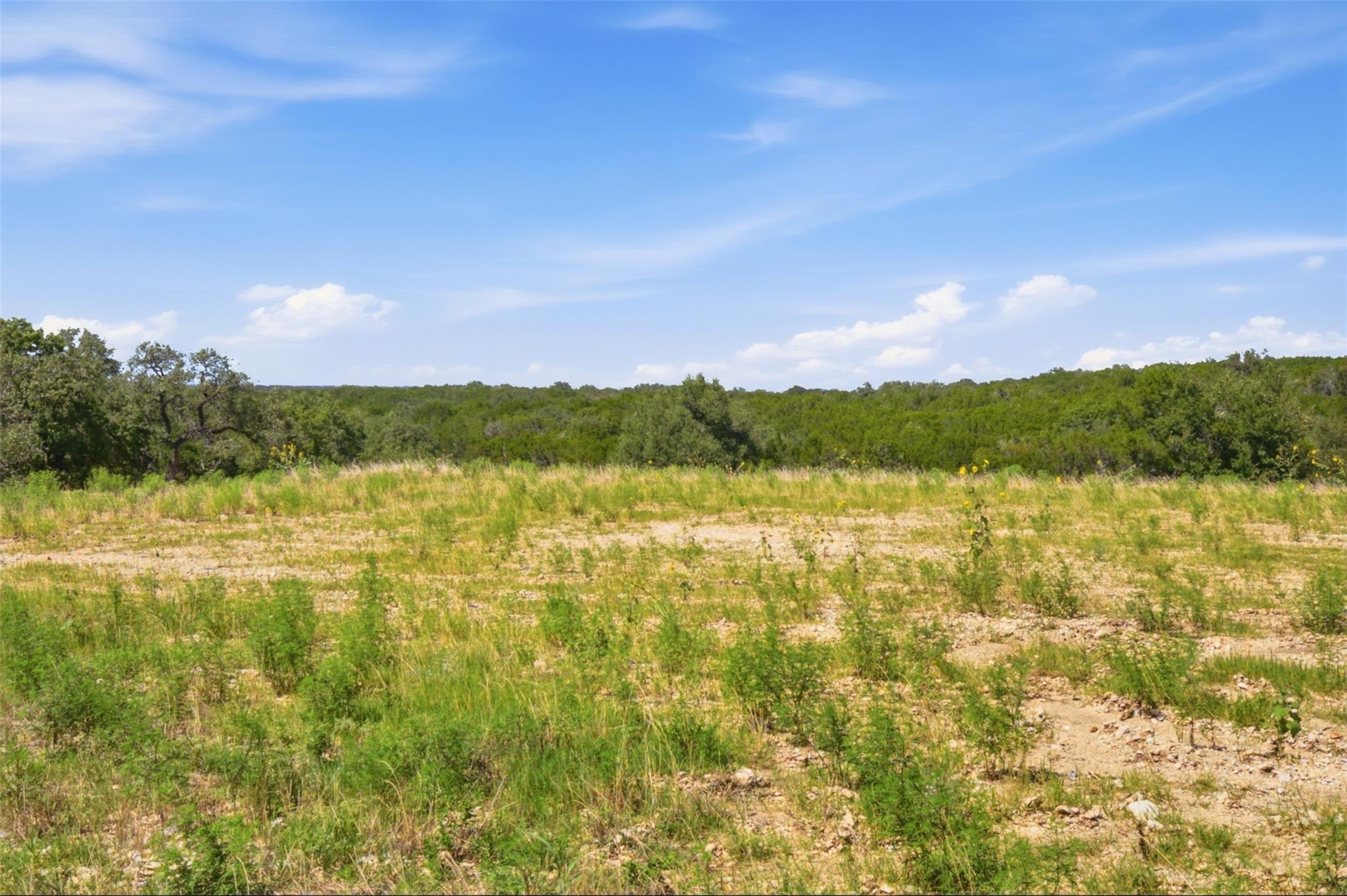 1232 Great Hills DR, Georgetown, TX 78633