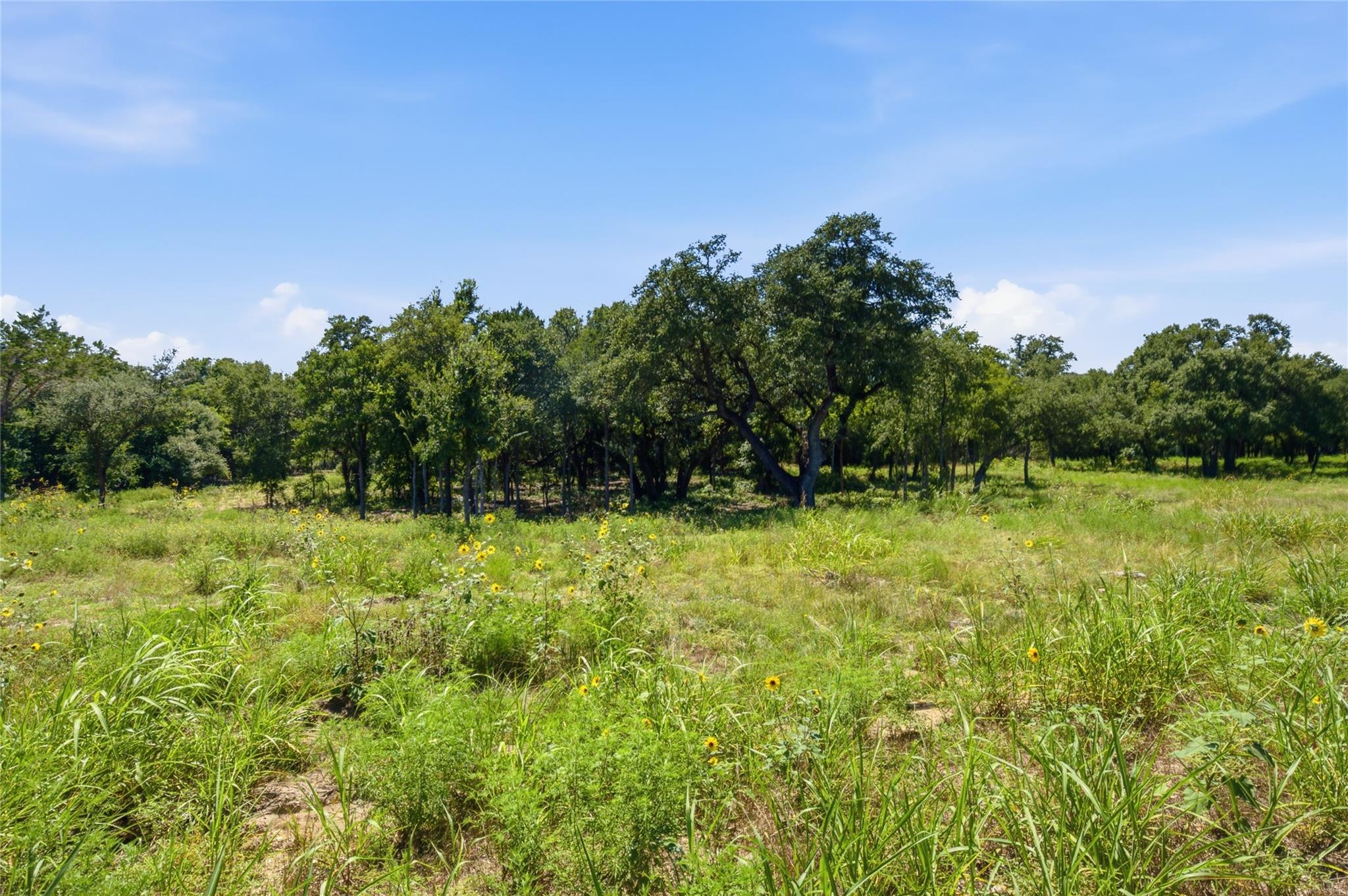 1313 Meadow Oak XING, Georgetown, TX 78633