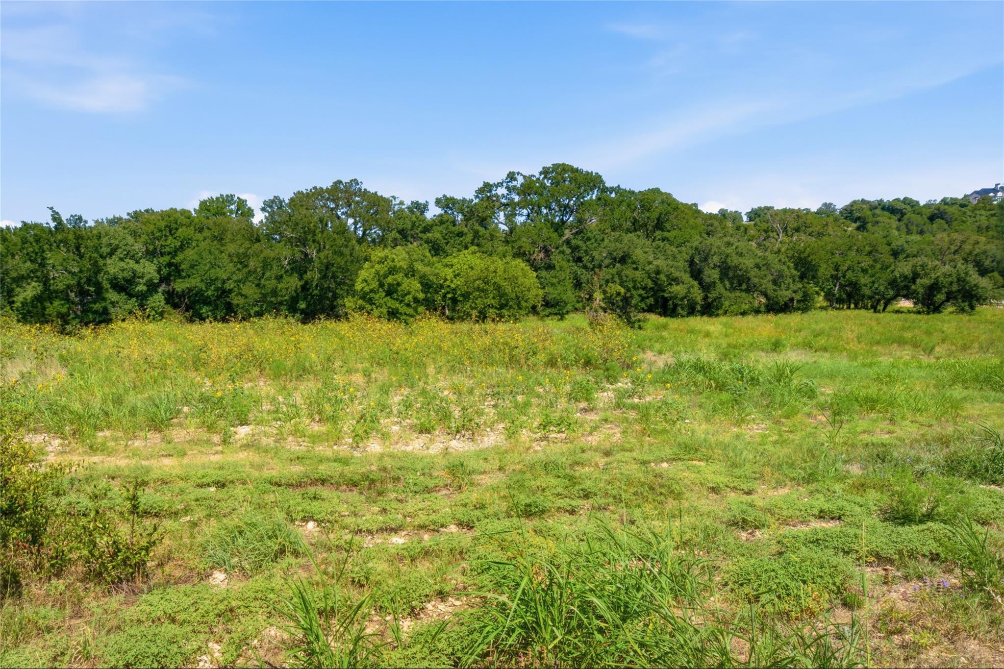 1300 Meadow Oak XING, Georgetown, TX 78633