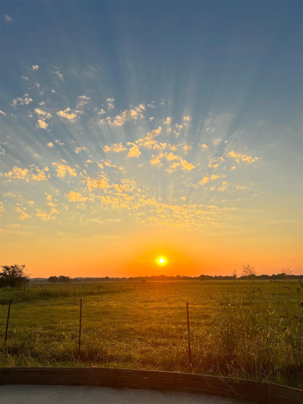 349 Ponderosa RD, Bastrop, TX 78602