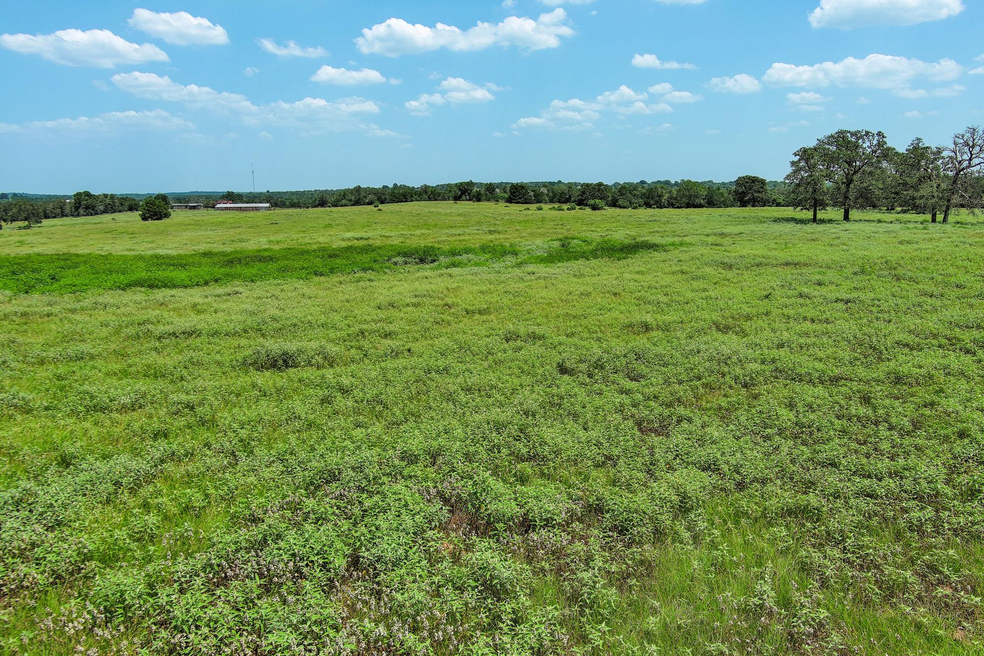 TBD Hofferek RD, Rosanky, TX 78953