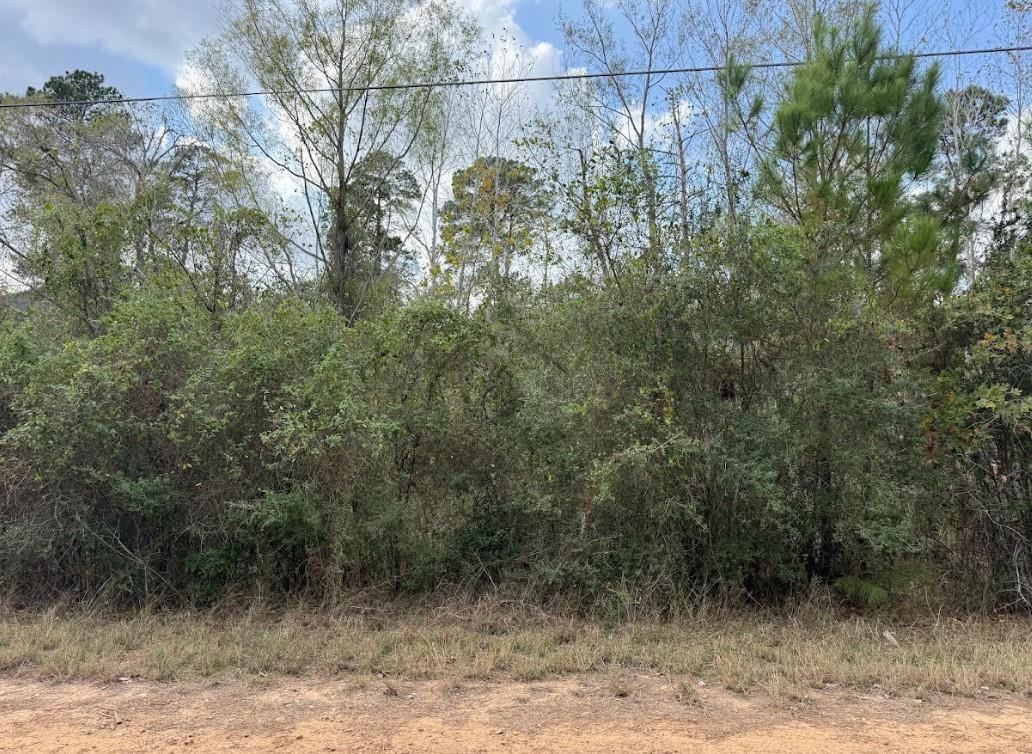 Lot 233 Makaha DR, Bastrop, TX 78602