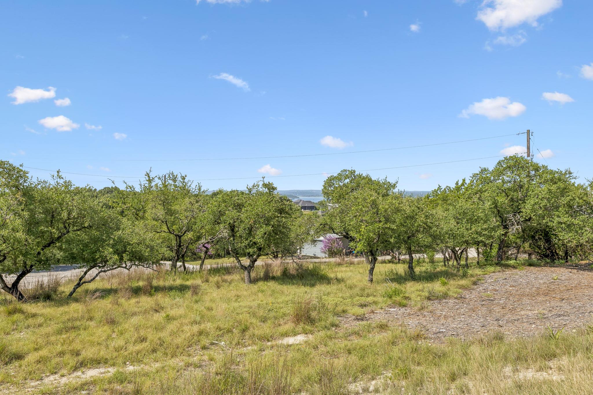 194 Nighthawk LN, Canyon Lake, TX 78133