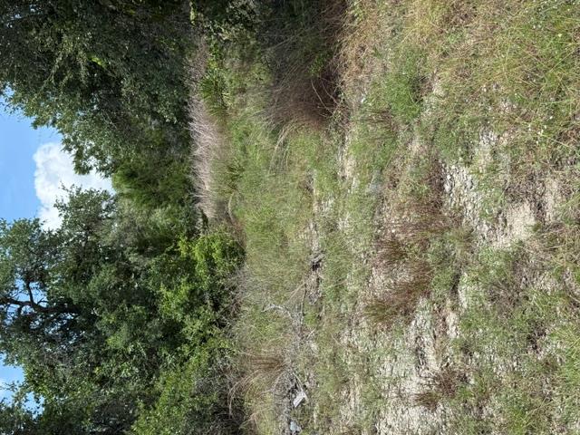 25402 Fawn DR, Leander, TX 78641