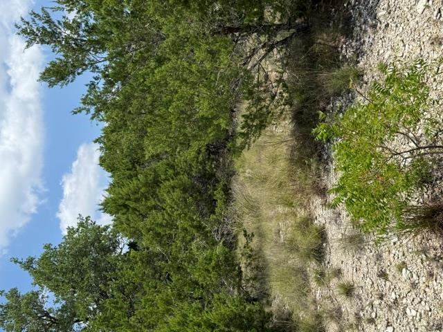 25402 Fawn DR, Leander, TX 78641