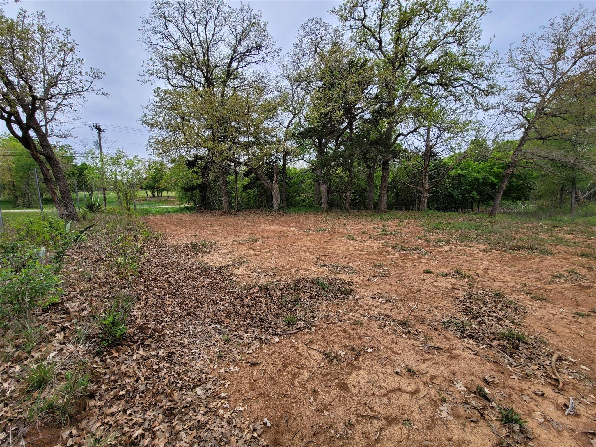 160 Arbor Hill Way, Cedar Creek, TX 78612