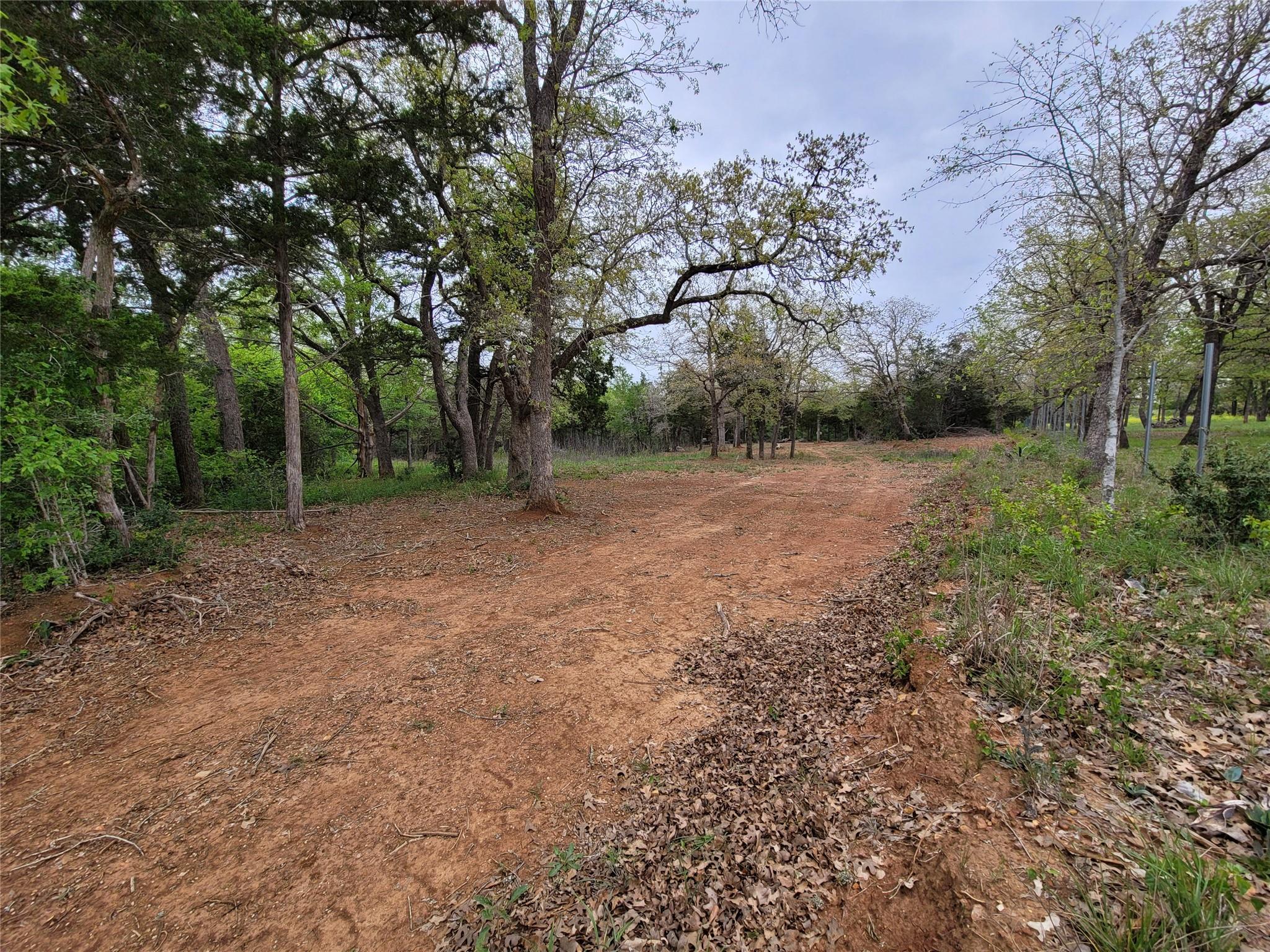 160 Arbor Hill Way, Cedar Creek, TX 78612