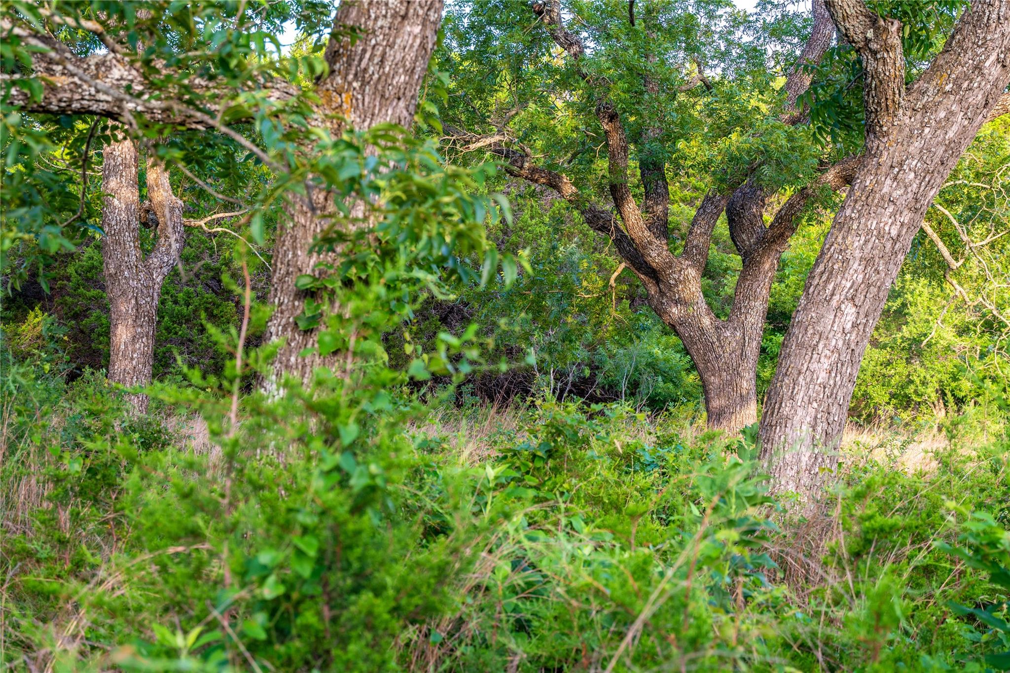 10223 Fm963, Burnet, TX 78611