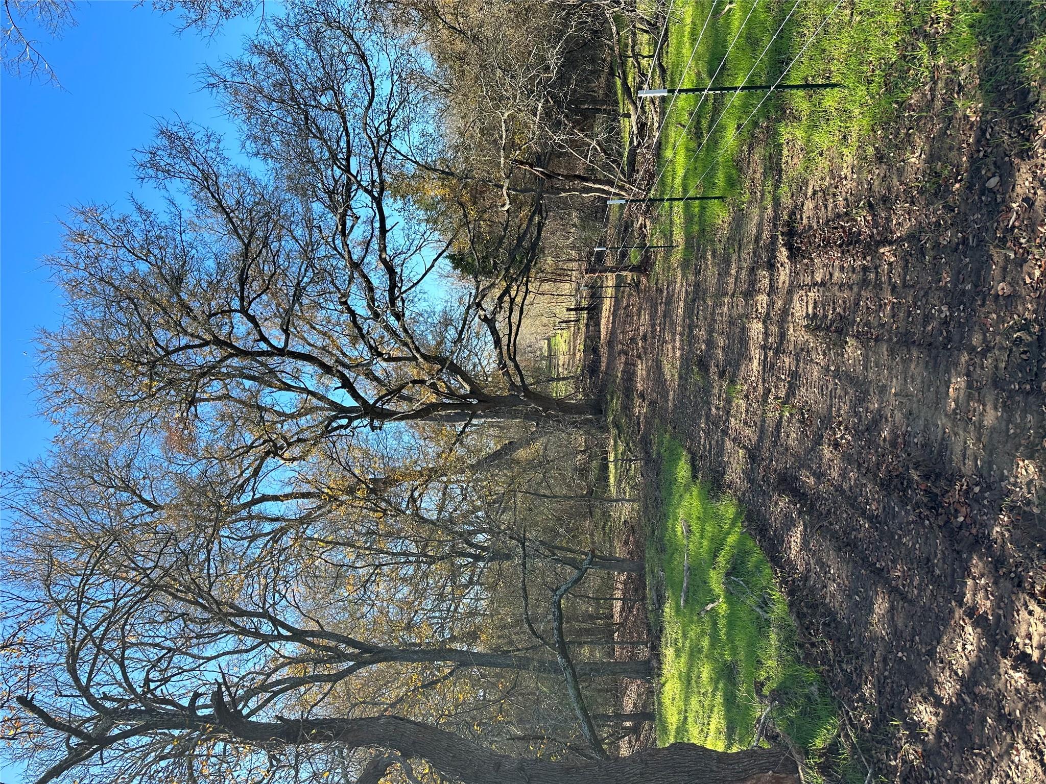 650 Coastal Ln, Luling, TX 78648