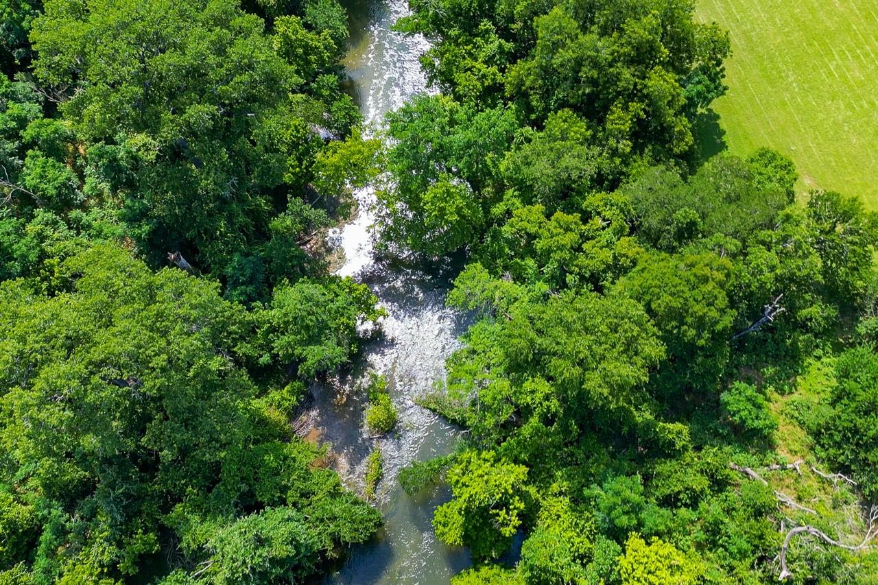 1498 Elmer King RD, Belton, TX 76513
