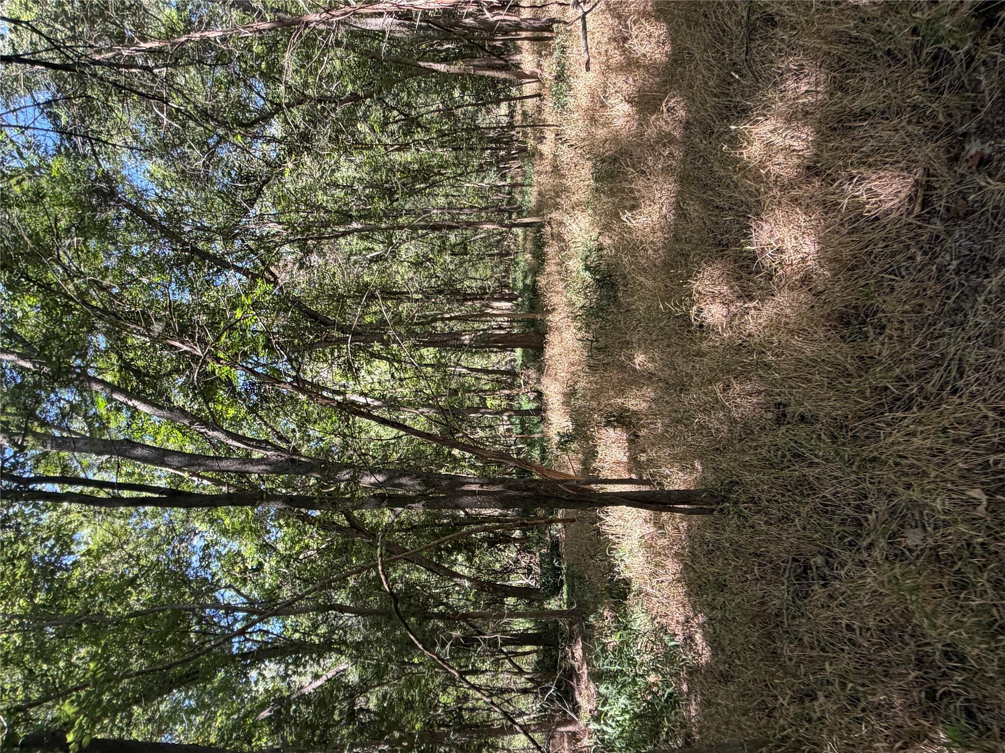 Lot 677 Kaukonahua LN, Bastrop, TX 78602