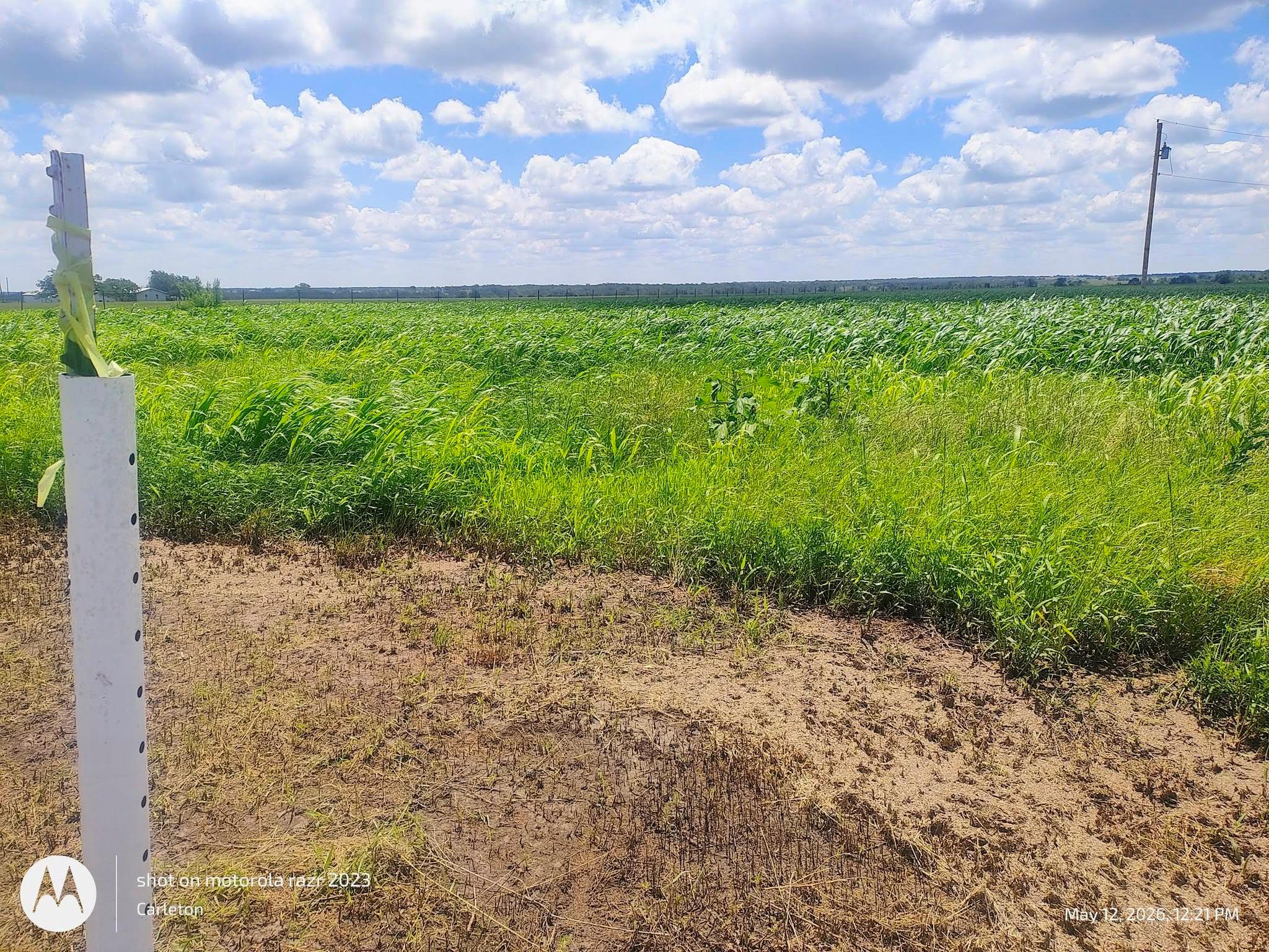 3001 Dolphin DR lot 2, Coupland, TX 78615