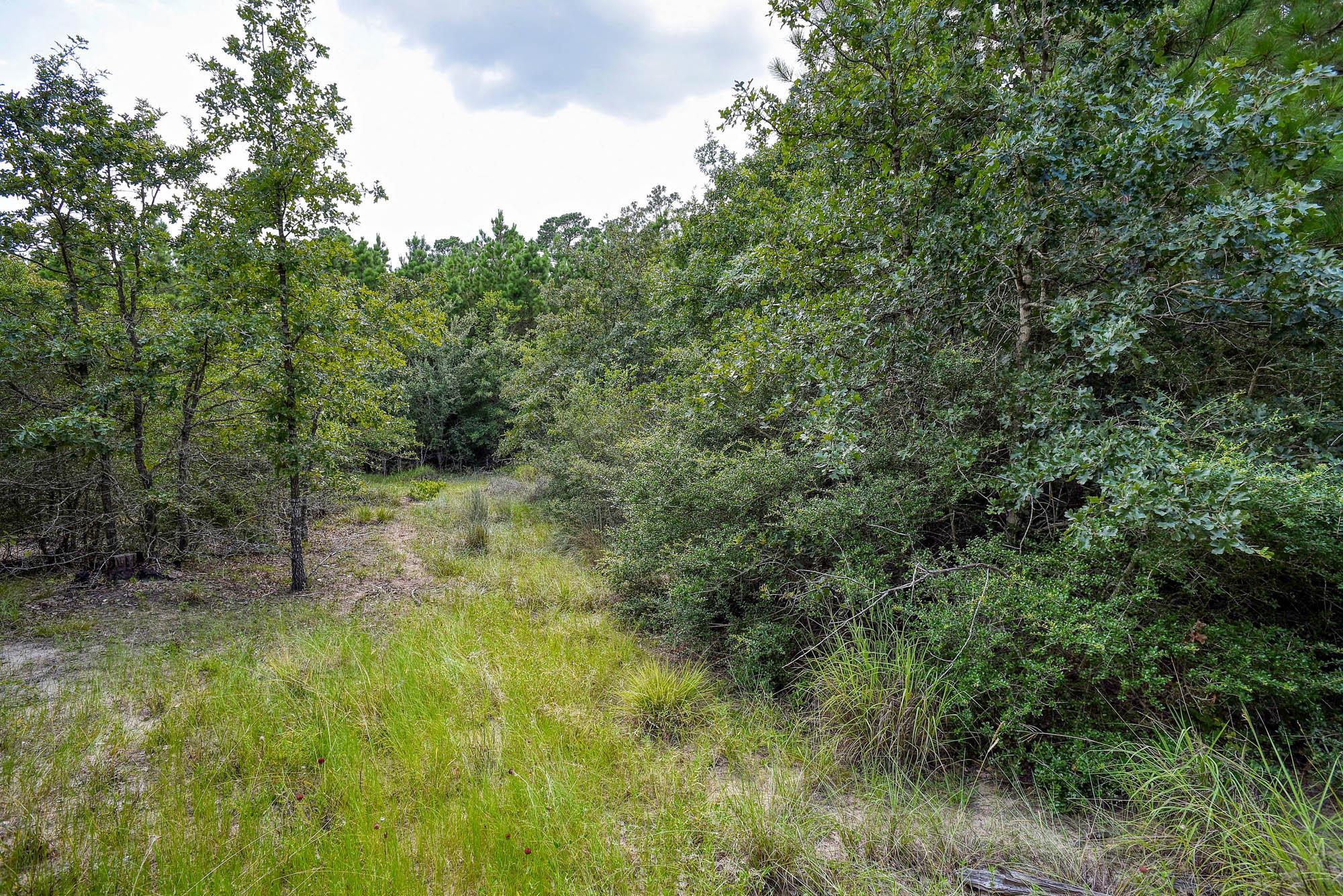 TBD Poi CT, Bastrop, TX 78602