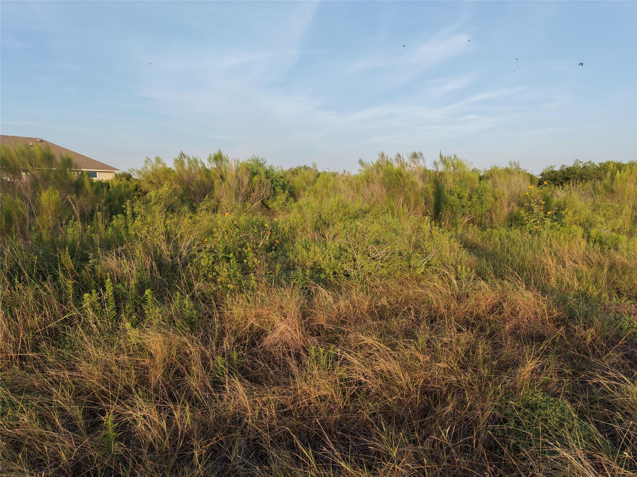232 E Ridge LN, Kyle, TX 78640