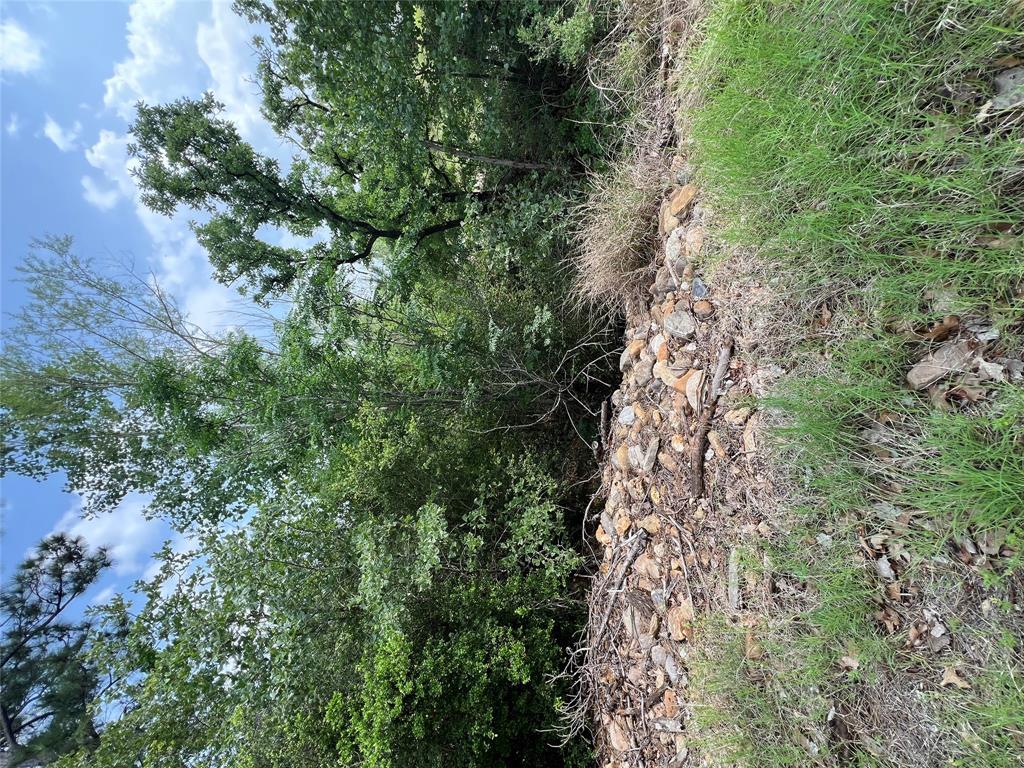 TBD Monku CT, Bastrop, TX 78602