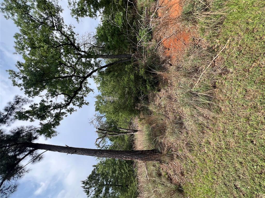 TBD Monku CT, Bastrop, TX 78602