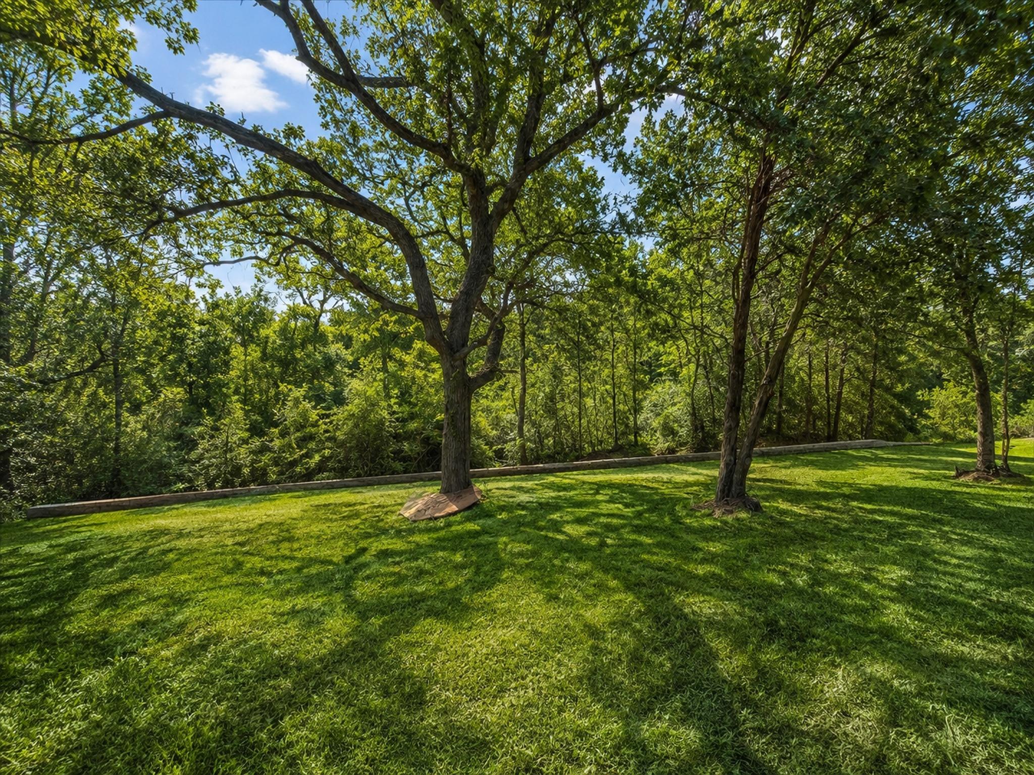 185 Pecos ST, Cedar Creek, TX 78612