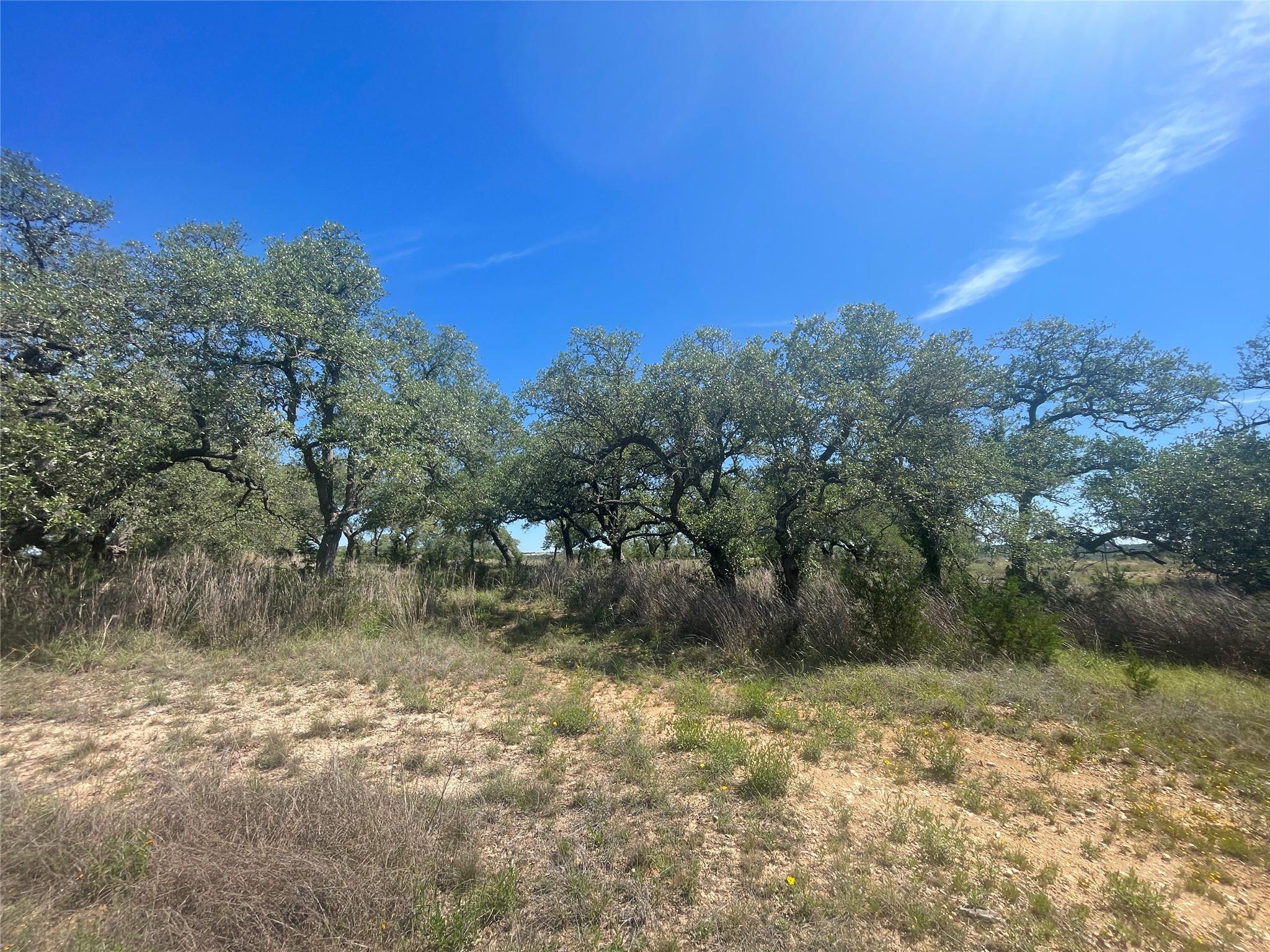 6500 W Highway 290 Hw, Dripping Springs, TX 78620
