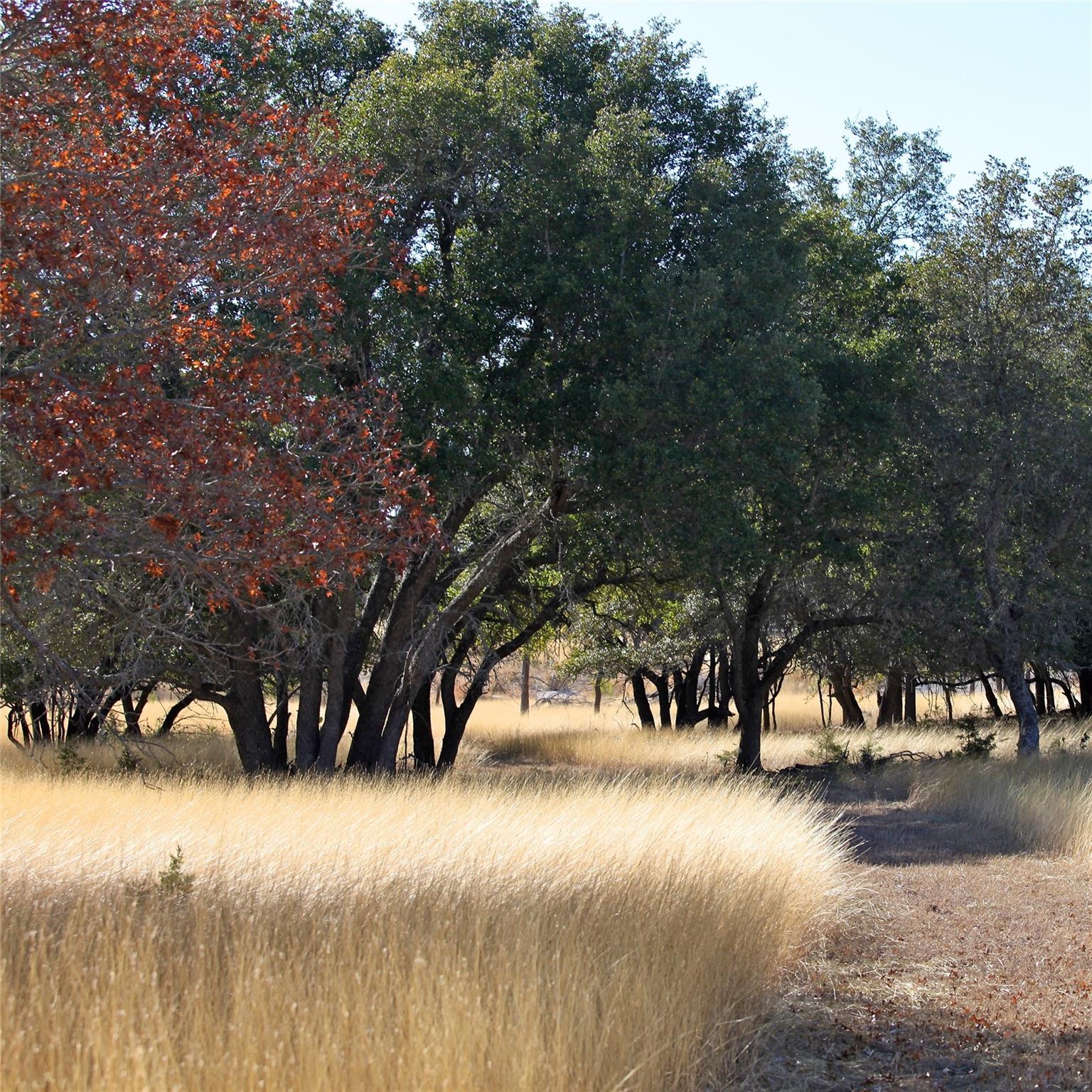 4239 County Road 336, Bertram, TX 78605