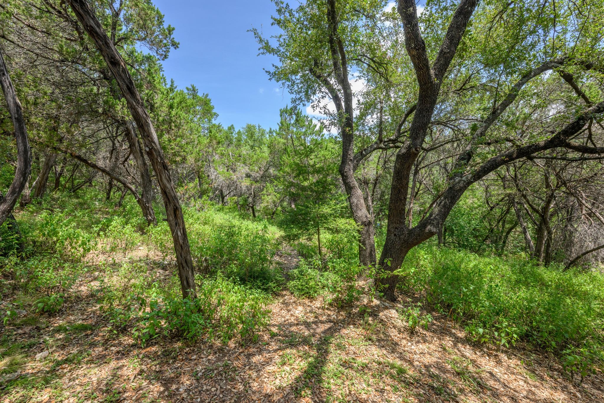 6702 Cat Creek TRL, Austin, TX 78731